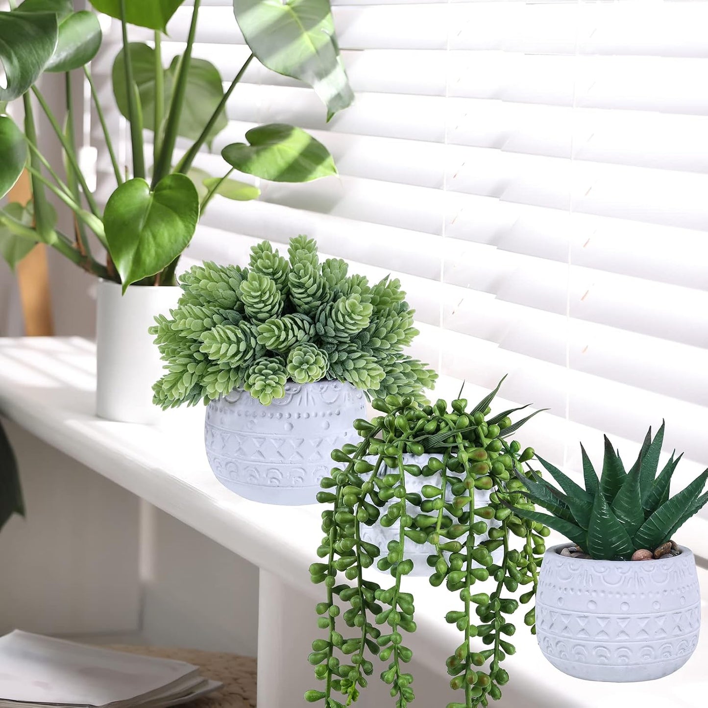 Assorted Small Potted Succulent Plants Artificial Aloe Hanging Succulent / White / Set of 3