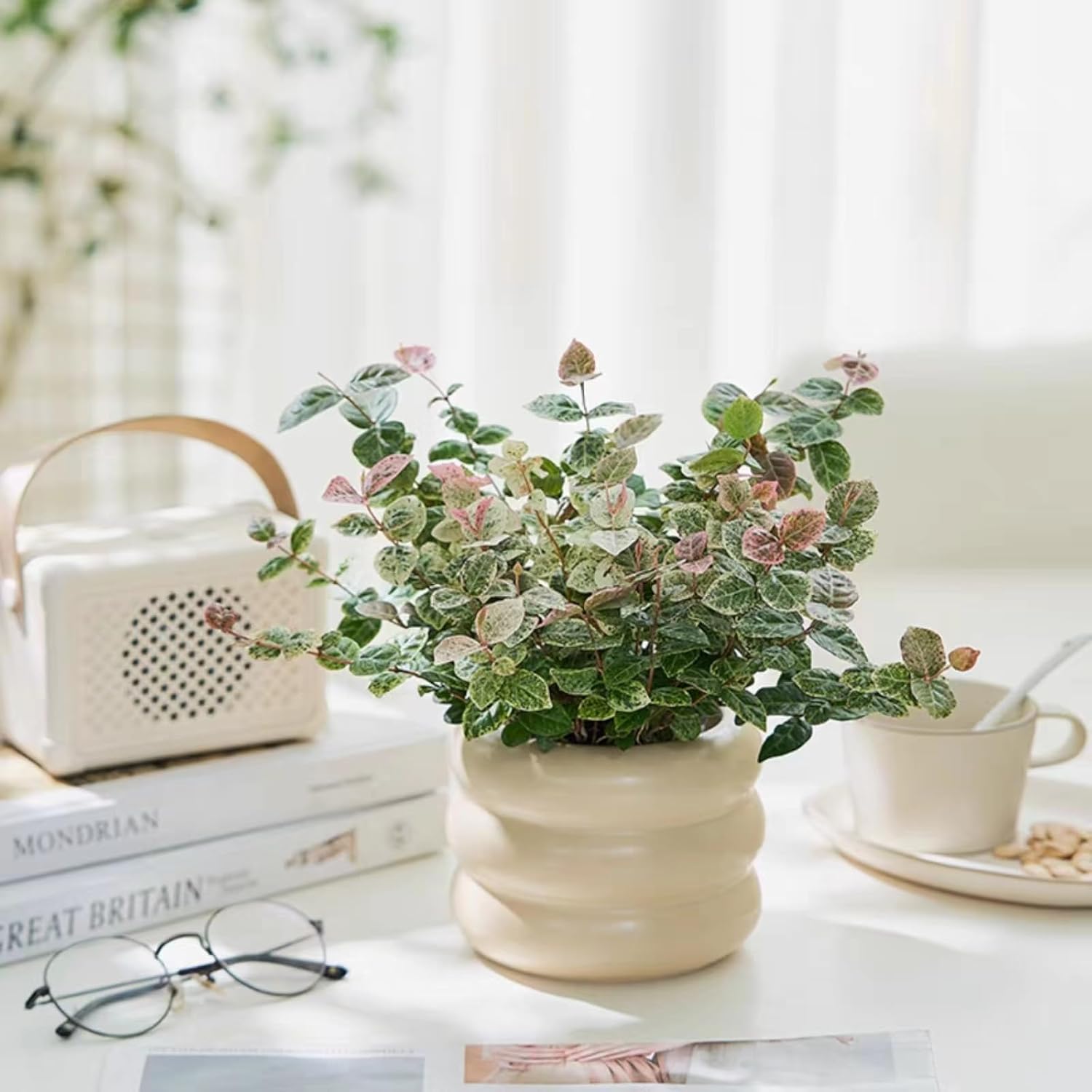 Ceramic Plant Pot Indoor / Beige / 4.7inch / 4.5 Inch