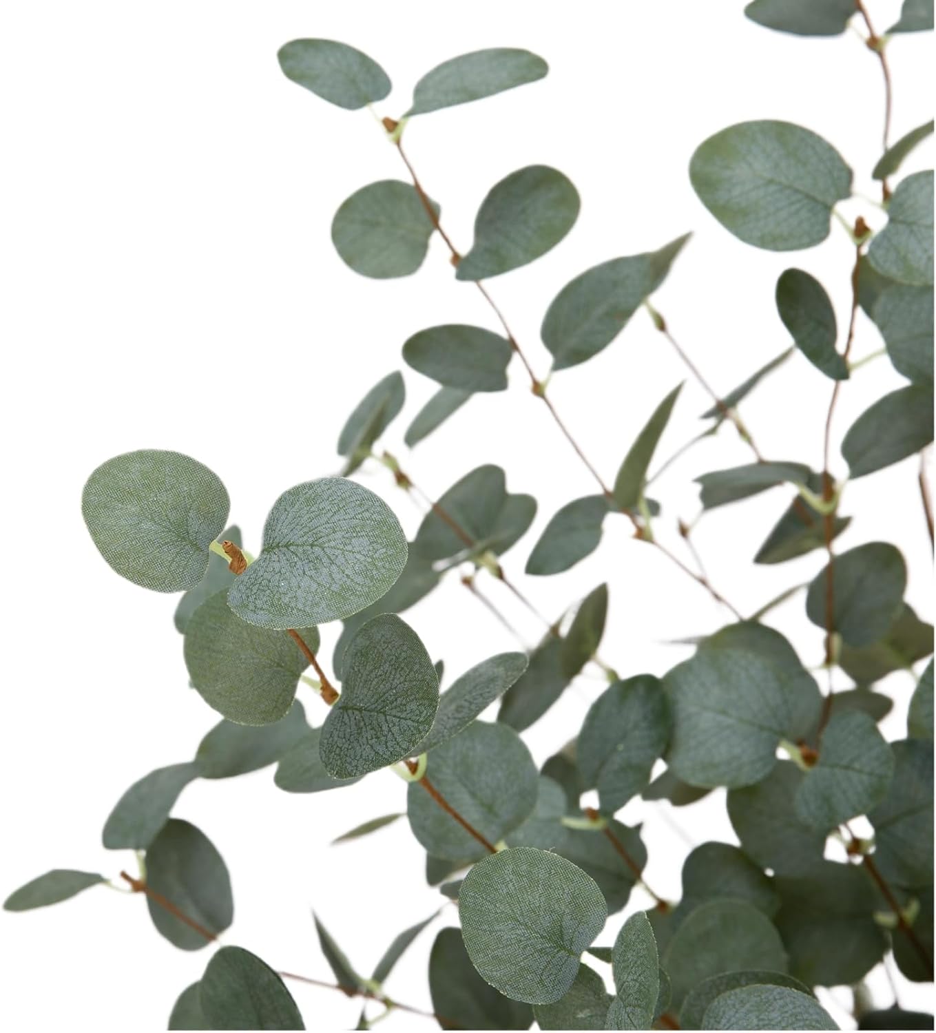 27" Eucalyptus Stems Greenery Stems Eucalyptus Leaf Spray in Green Silk / Dark Green / Set of 6