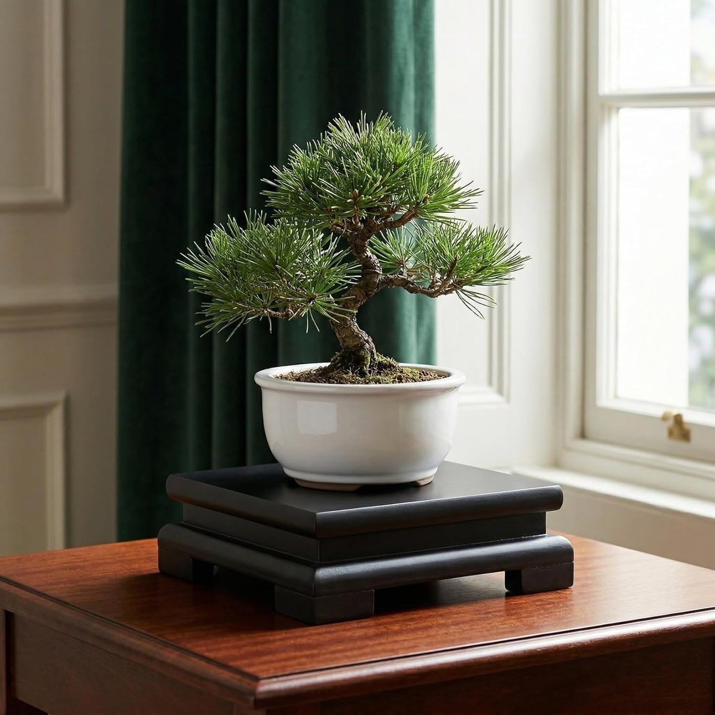Chinese Plant Stand Oriental Furniture Wooden Display Base Square Pedestal Vase Base Table Lamp