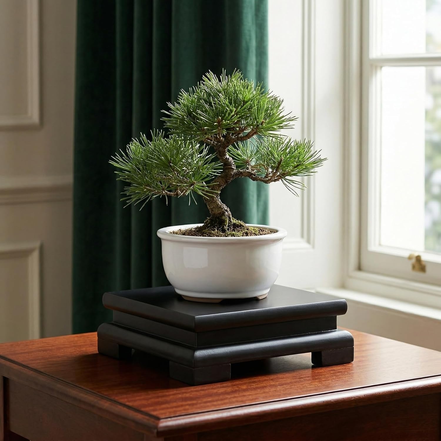 Chinese Plant Stand Oriental Furniture Wooden Display Base Square Pedestal Vase Base Table Lamp