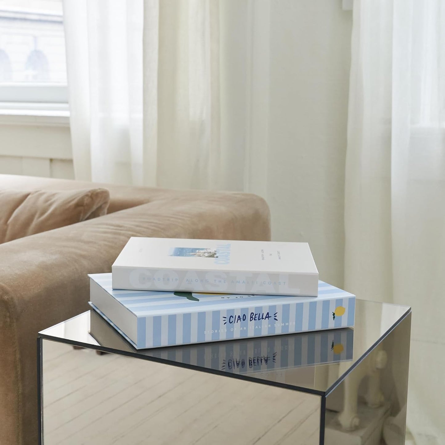 Decorative Books / Coastal Blue & Cream / Set of 2