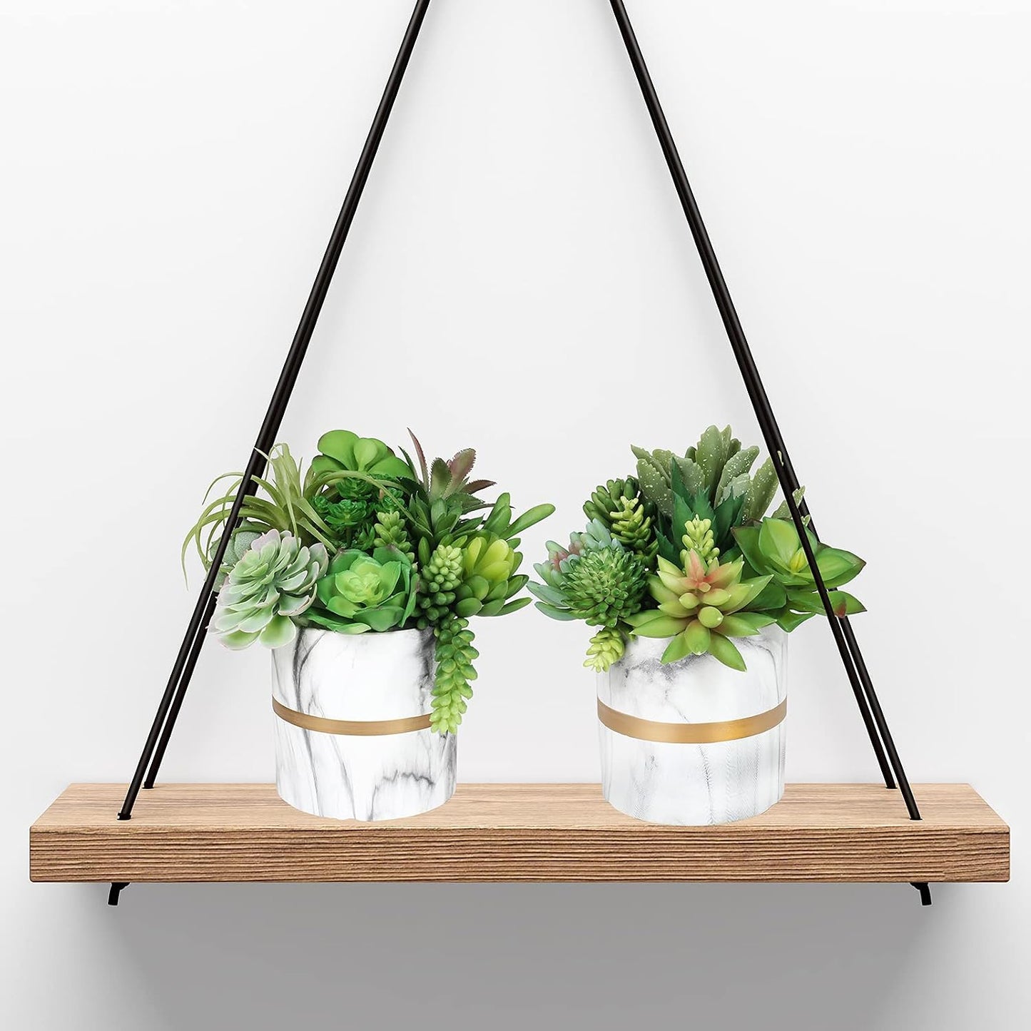 Assorted Artificial Succulents Plants Unpotted Small Cactus Echeveria Air Plant / Green / Set of 20