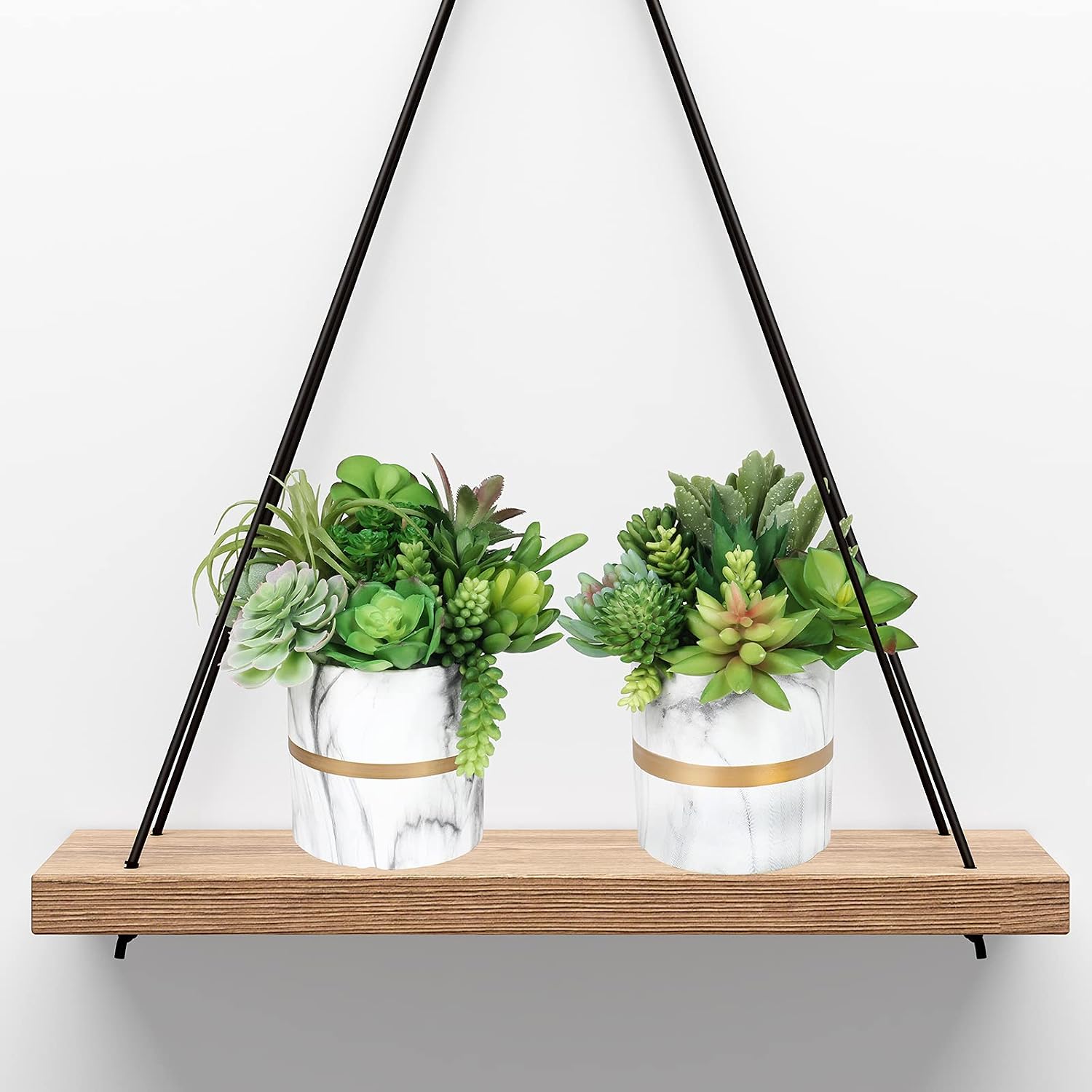 Assorted Artificial Succulents Plants Unpotted Small Cactus Echeveria Air Plant / Green / Set of 20
