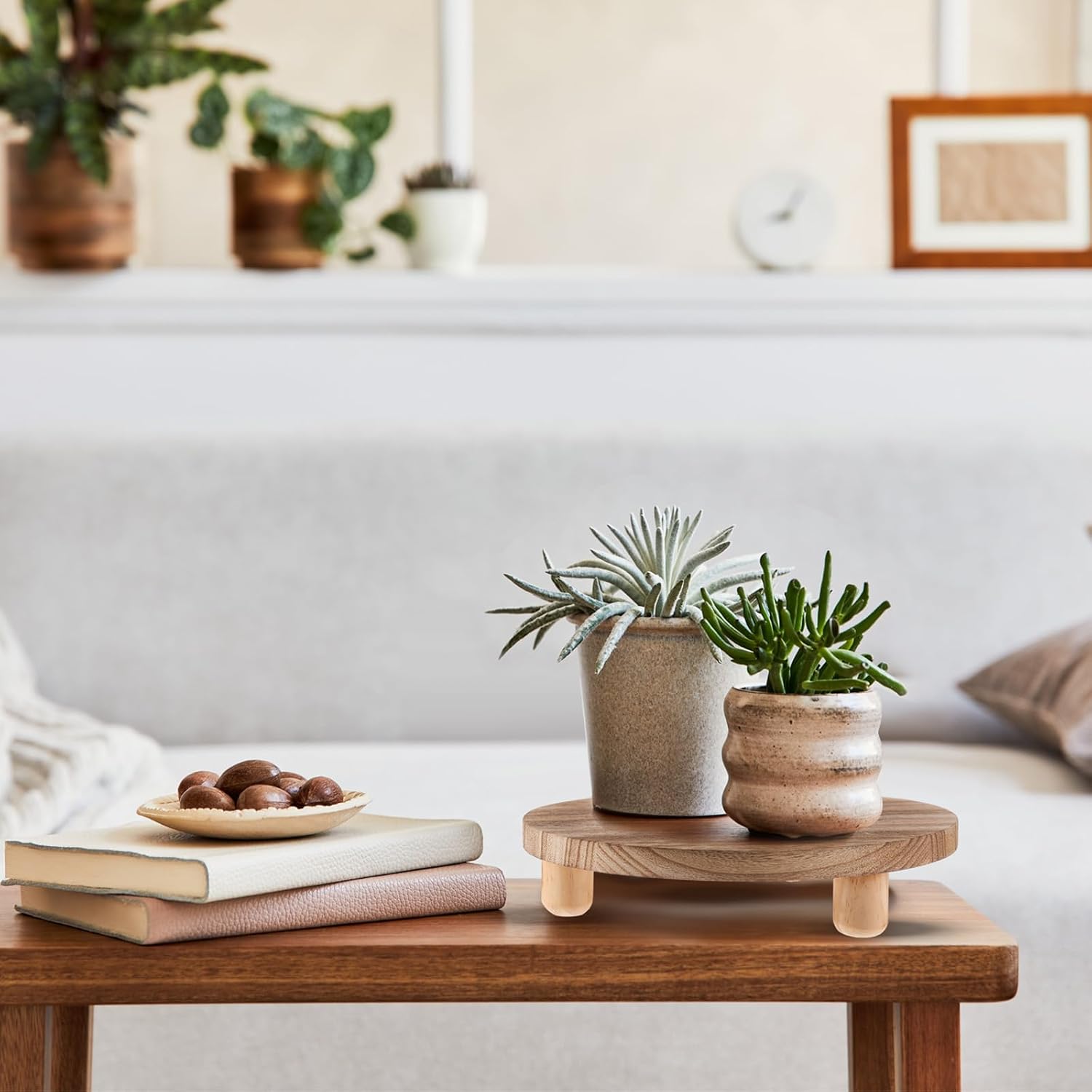 Mini Wooden Plant Stool Display Cake Stand 12/10/8/ Round Plant Risers / Wood / 6 Inch / Set of 4