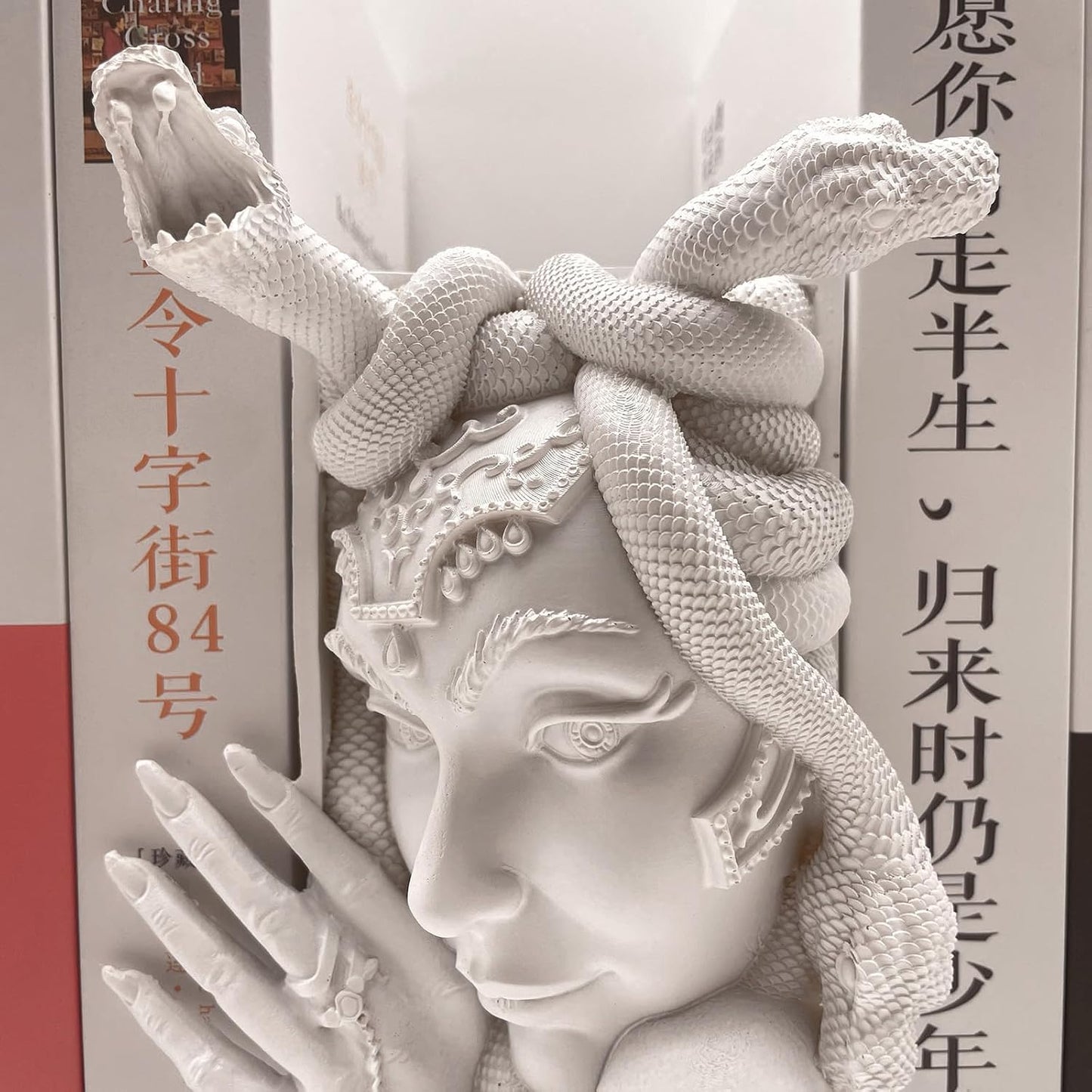 Medusa Head Book Nook / White