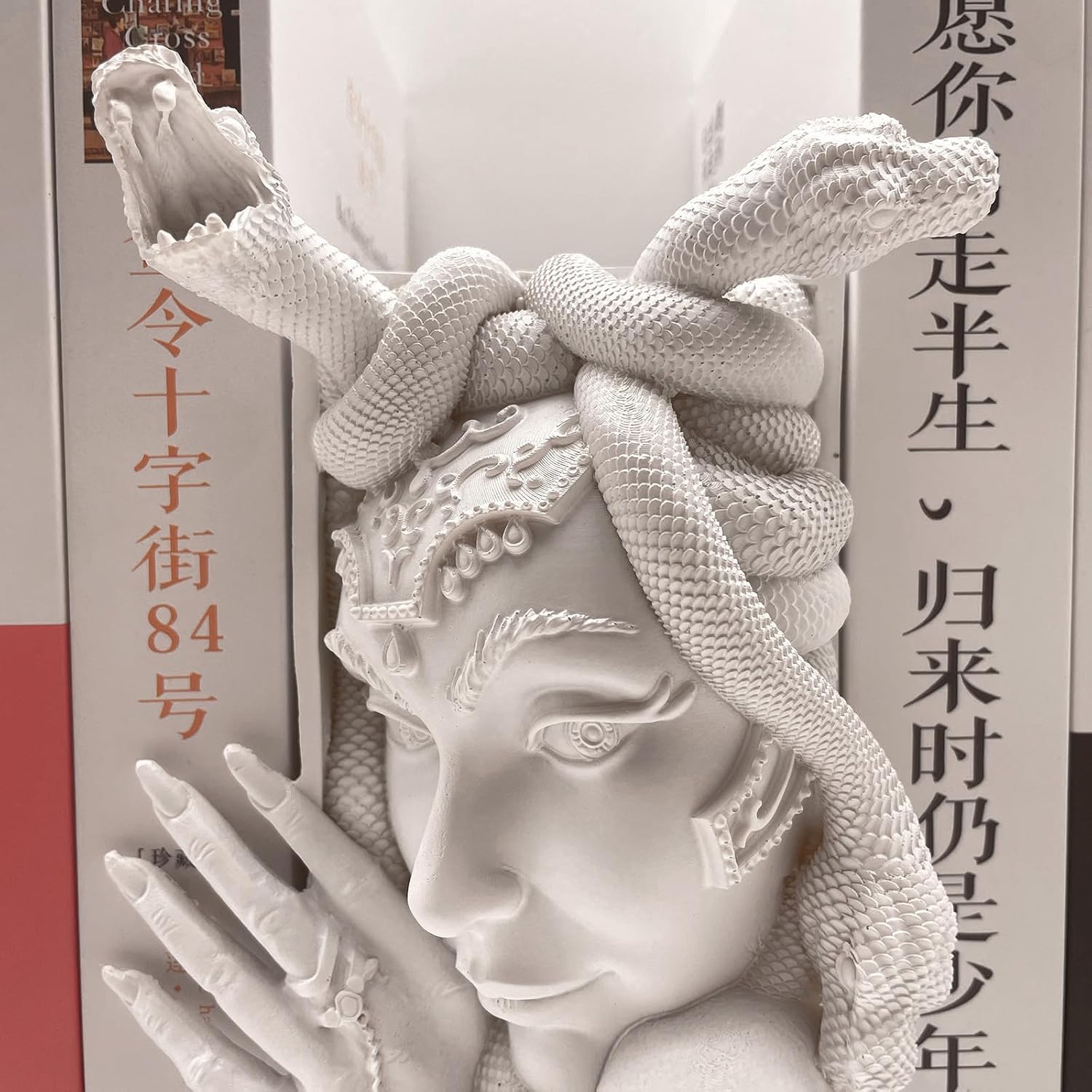 Medusa Head Book Nook / White