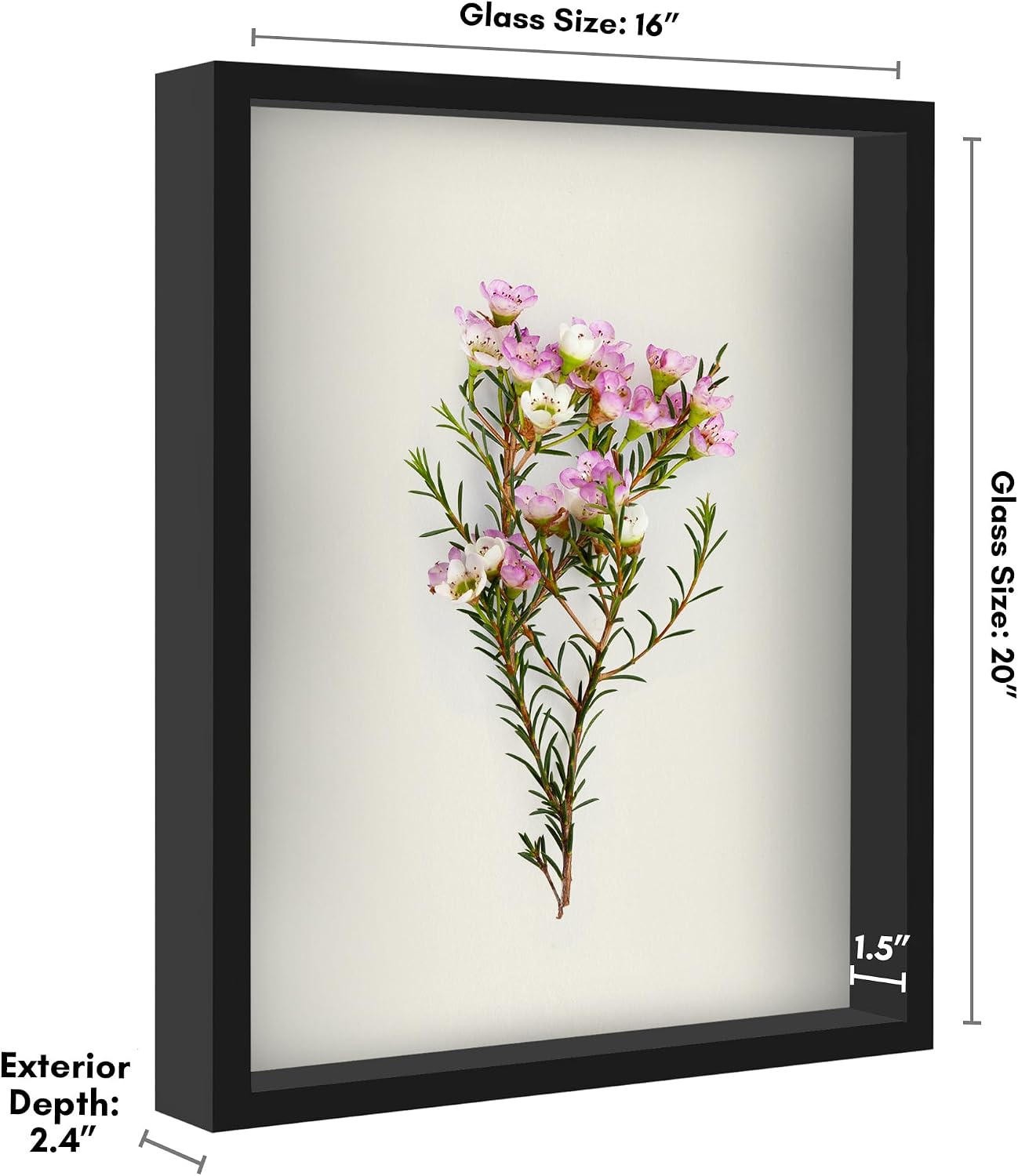 Americanflat 16x20 Shadow Box Frame - Engineered Wood - Black | Polished plexiglass front, 1.5 inch interior depth