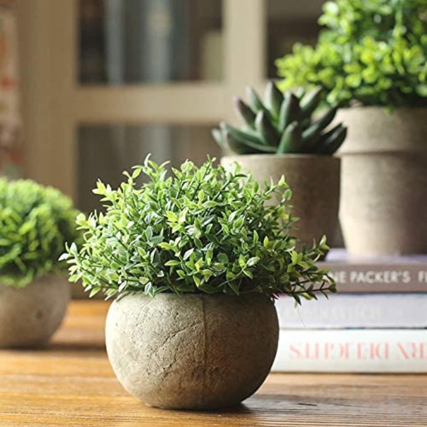 Farmhouse House Plant Office / Green