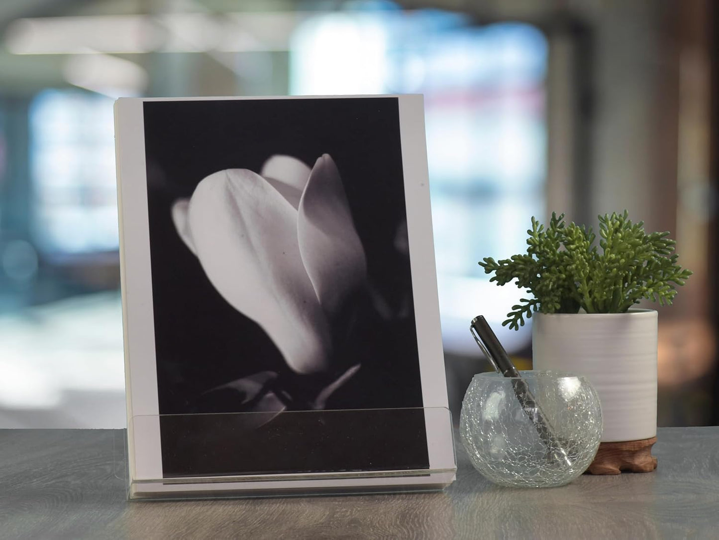 Acrylic Display Stand / Clear / 8.5 x 11 / Set of 3