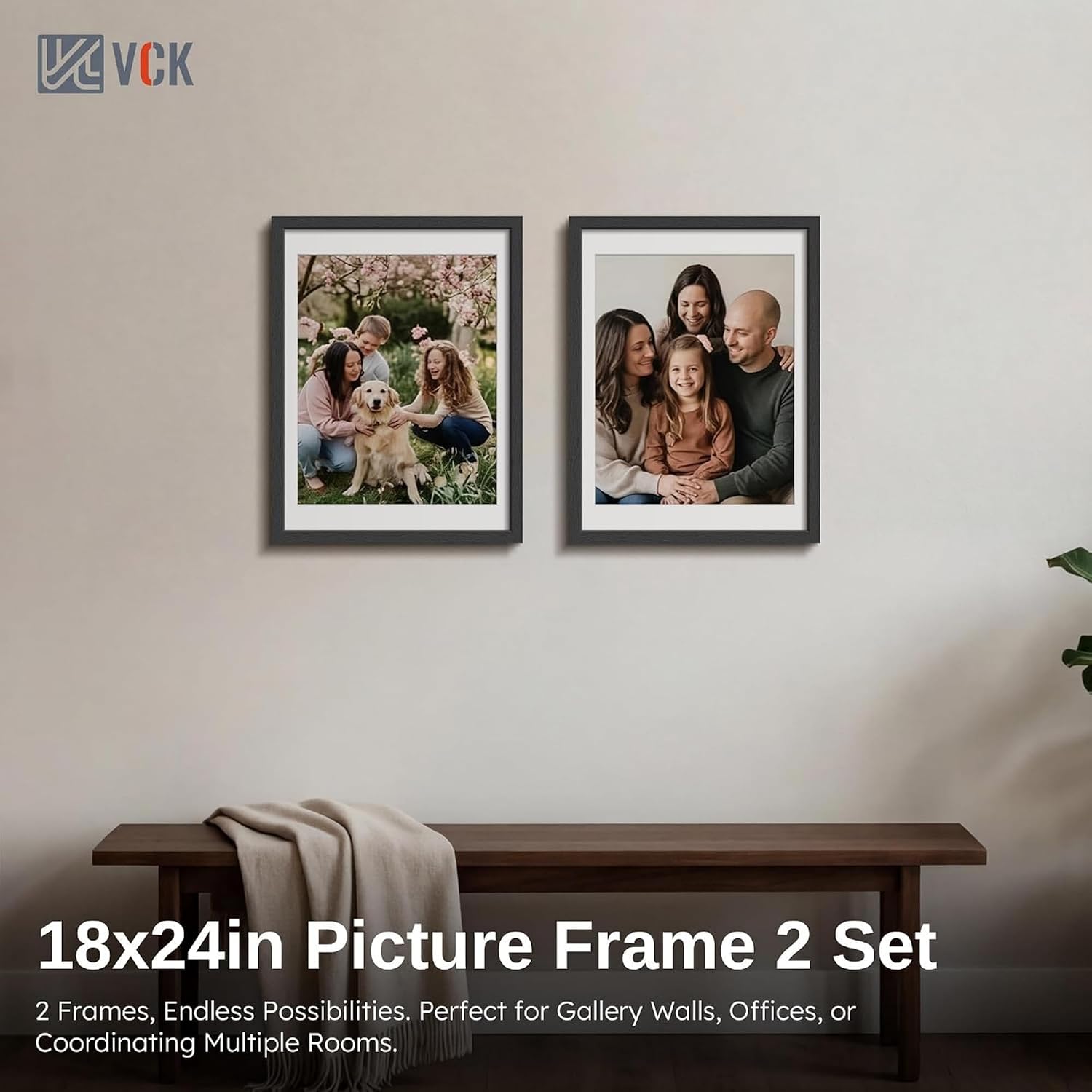 VCK 18x24 Frame 2 Pack, Black Wood, 16x20 Mat, for Concert Poster | Acid-Free Mat, HD Plexiglass, Vertical or