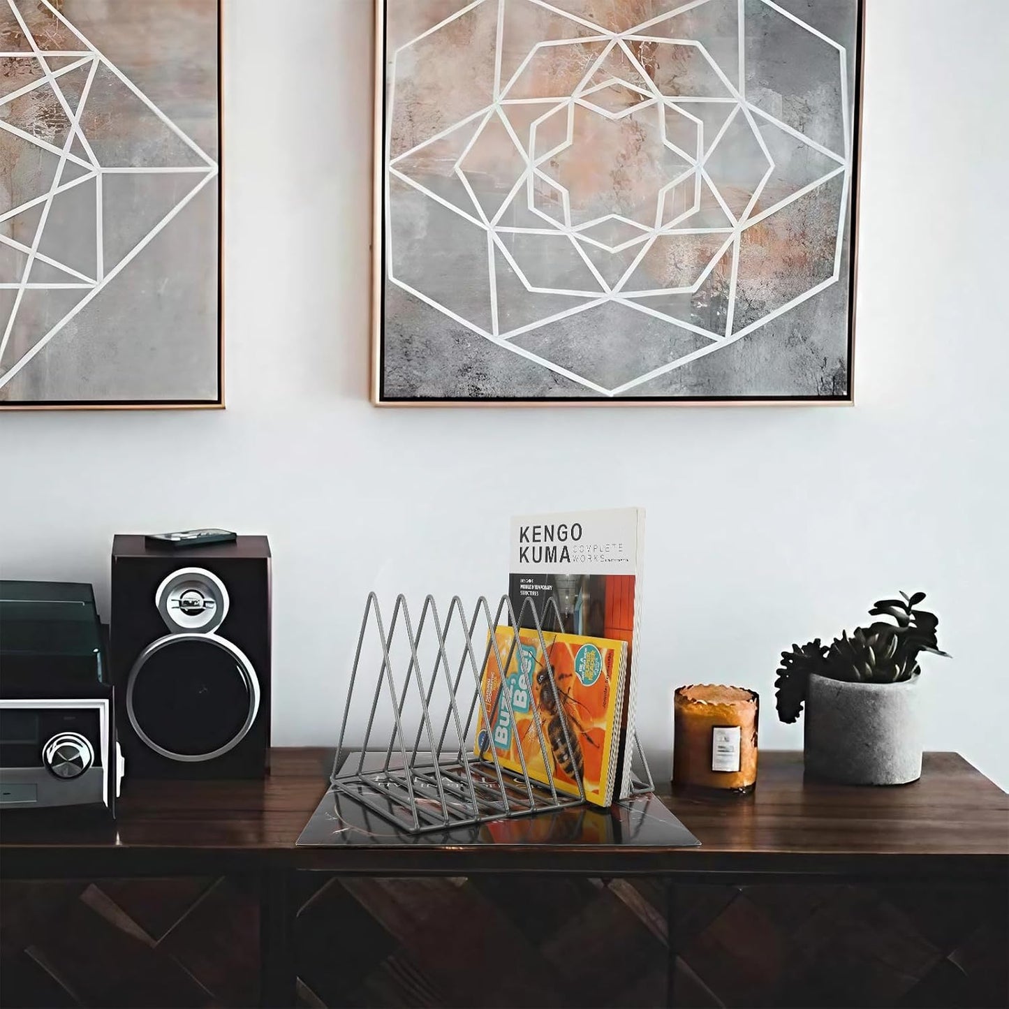 Vinyl Record Holder Storage, 9 Slot Metal Magazine Book Album Display Rack, Stylish Triangle Desktop File Sorter