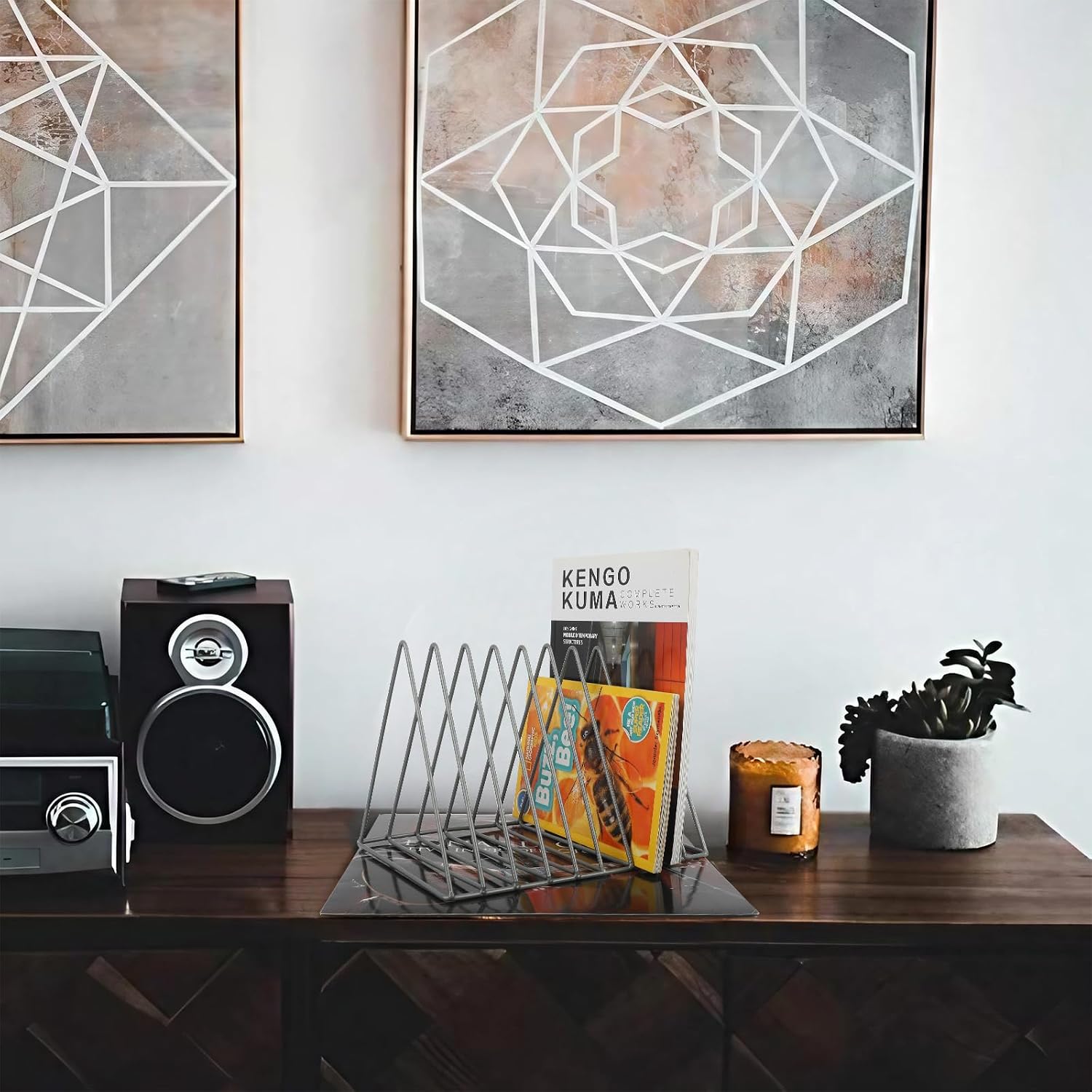 Vinyl Record Holder Storage, 9 Slot Metal Magazine Book Album Display Rack, Stylish Triangle Desktop File Sorter