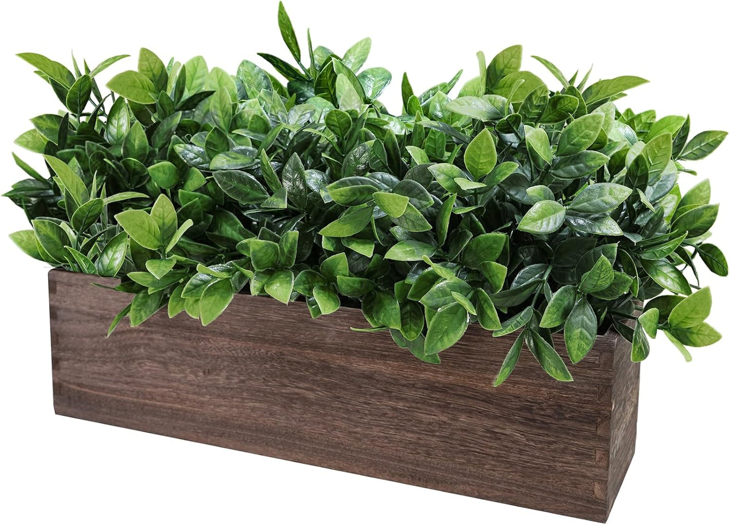 14" Artificial Boxwood Plants in Rectangular Wood Planter Farmhouse Greenery / Boxwood In Natural