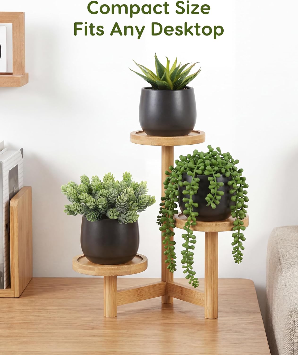 Artificial Succulents Plants in Pots / Black / Set of 3