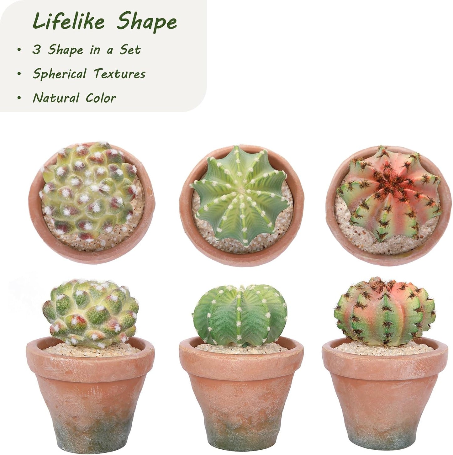 Lifelike Artificial Succulent Plants / Succulent A-3.6in Pot / White / 5.6 Inch