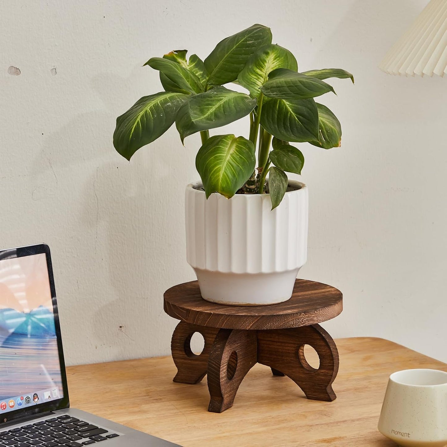 Plant Stand Indoor Round Risers Display Stands Decorative Table for Flowers Stand / Brown / Wood