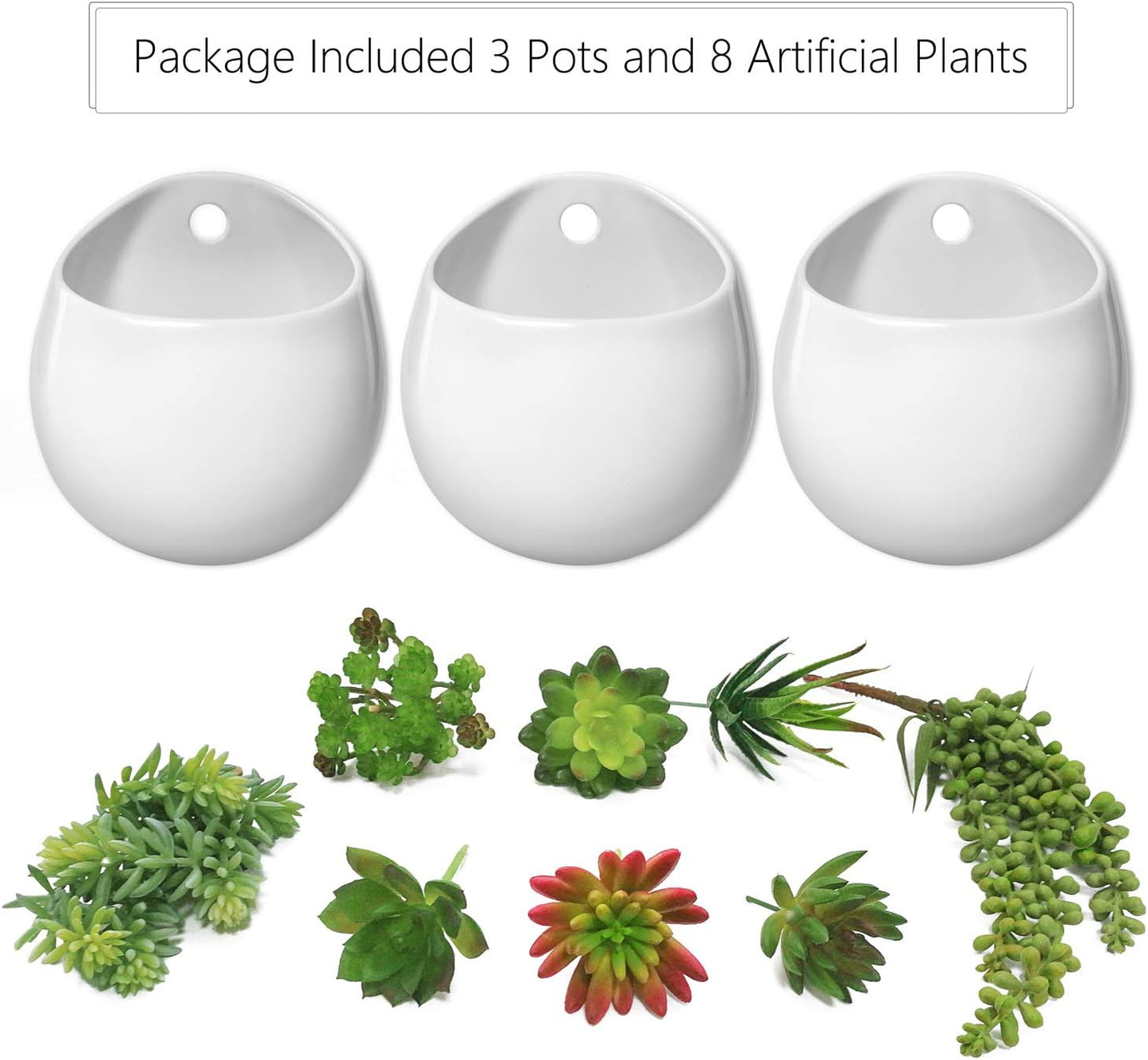 Artificial Plants / Wall Planter