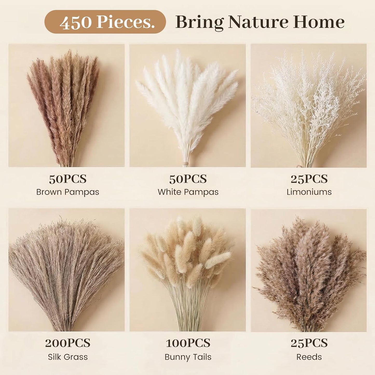 Home Vase & / Dried Flower Filler for Centerpieces / Natural / Set of 450