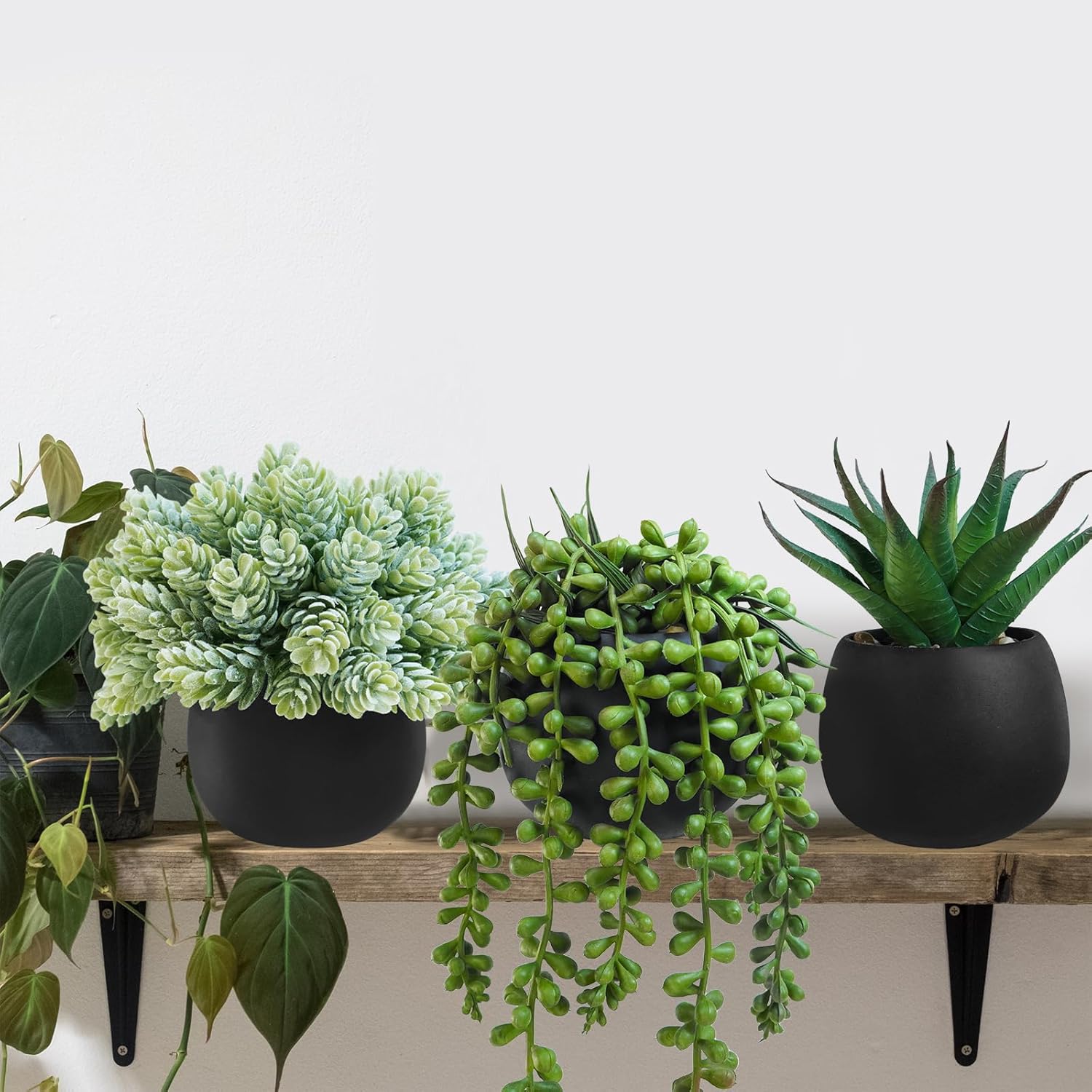 Artificial Succulent Plants in Black Concrete Pots Faux Aloe Hops String / Black Pots / Set of 3