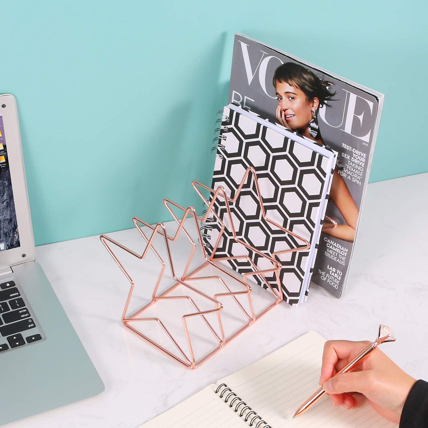 Magazine Holder File Sorter, Metal 5 Slot Desk Organizer Rack for Document, Folder, Letter and Book, Rose Gold