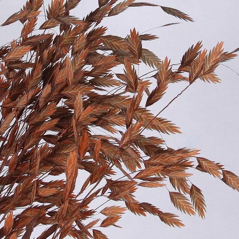 Dried Grass Bundle, 20 Stems 15-17 Inch Natural Chasmanthium Flower Bouquet for Vase, DIY Floral Arrangements, Weddings Party Home Baby Shower Elegant Decor (Brown)
