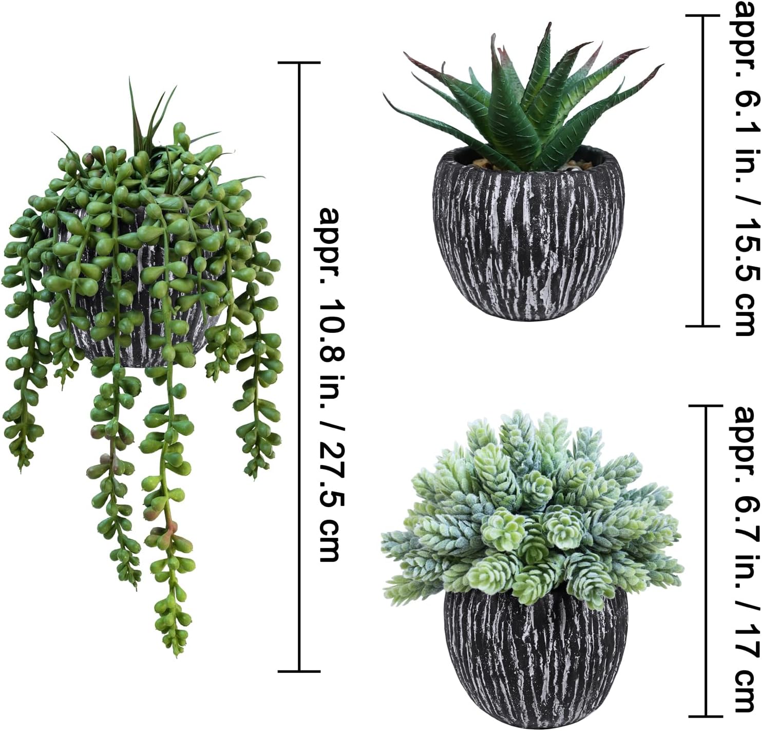 Artificial Succulent Plants in Pots Fake Hops Aloe String of Pearls Potted Plants / Black / Set of 3
