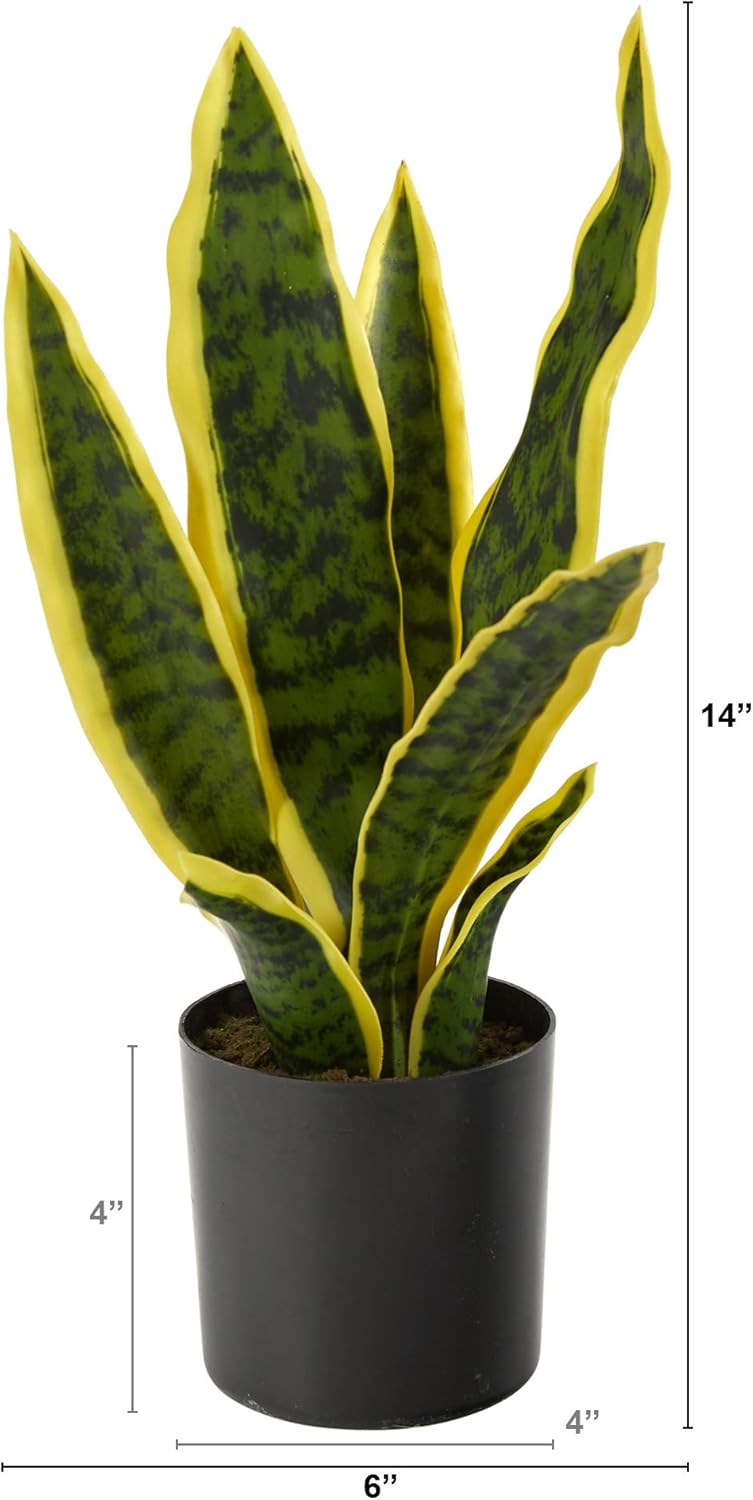 Faux Snake Plant / Yellow