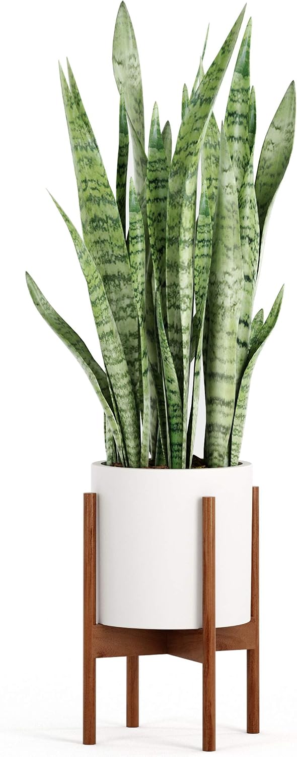 Fox & Fern Mid Century Plant Stands for Indoor Planters, Acacia, 10 Inch | Plug In Design, Holds 175 lbs, Two High