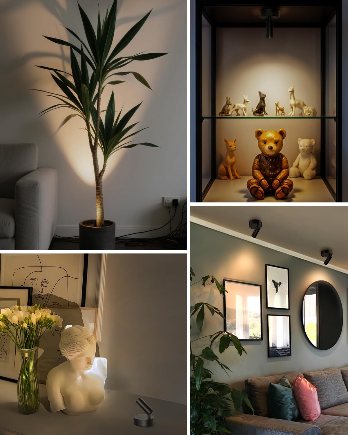 Spotlights Indoor with Remote, 3000Mah Rechargeable Wireless Plant Light | Up Lights with 3 Colors & Dimmer, Small LED