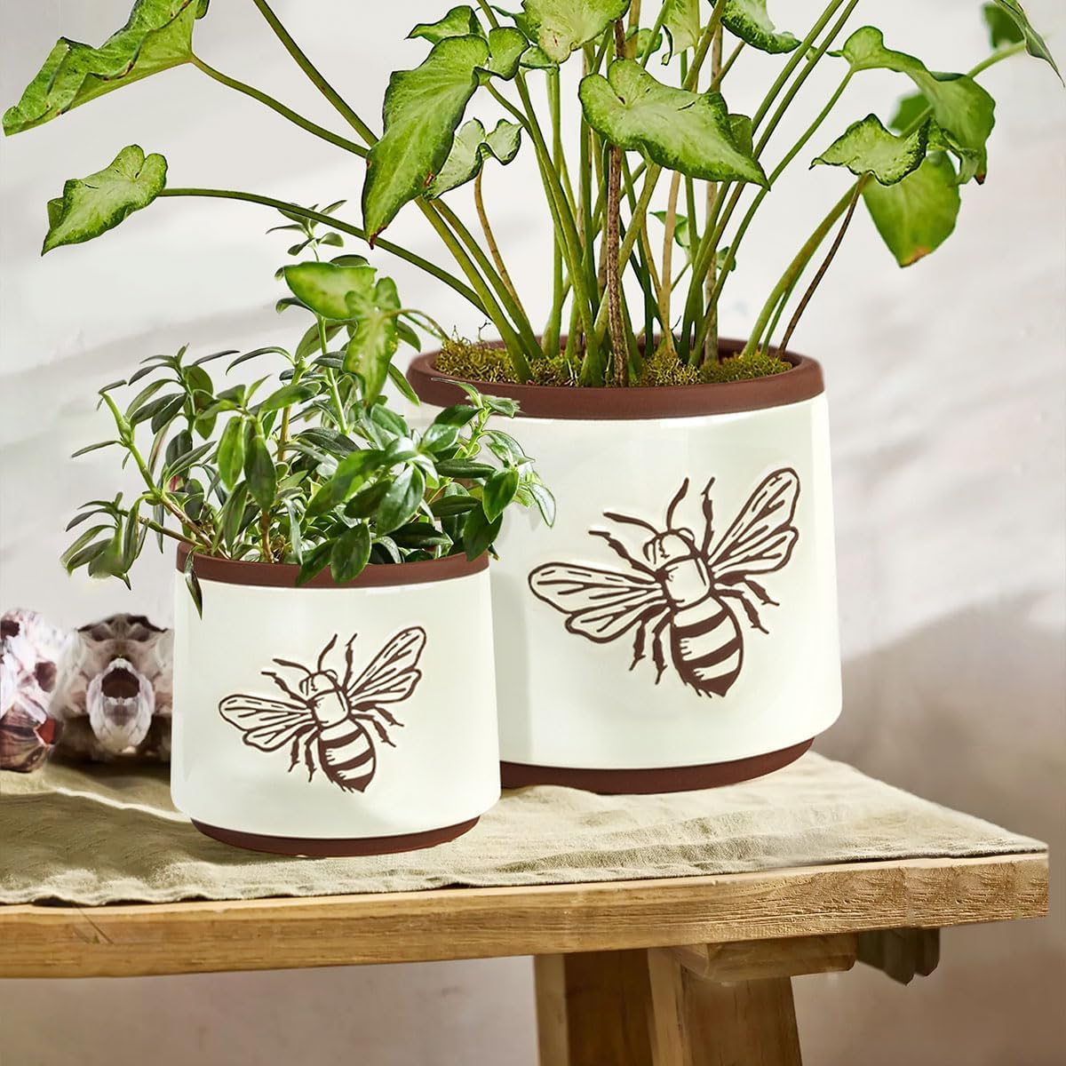 YBX Terracotta Pots / 6+4 Inch / White Bee