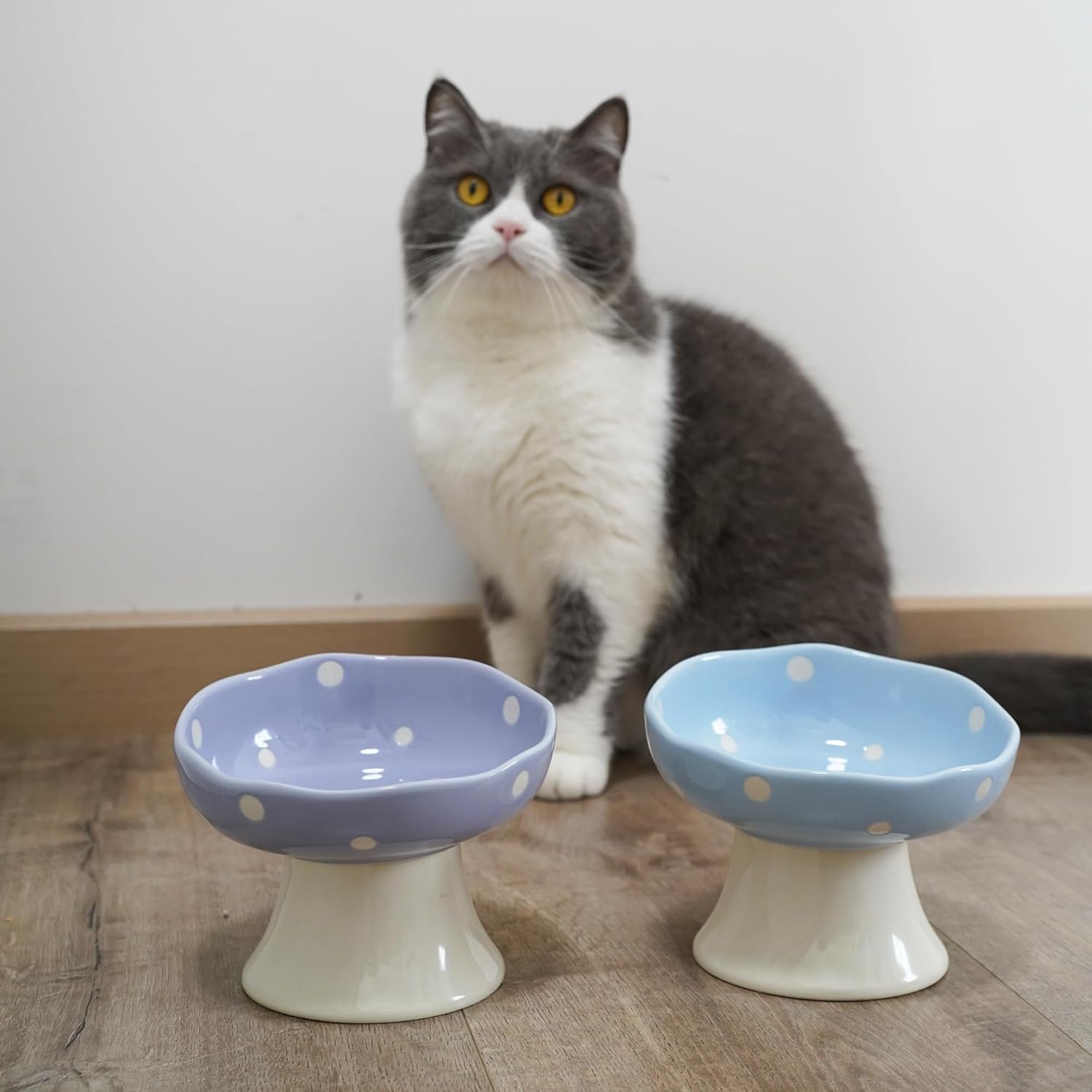 Elevated Ceramic Bowl for Cats / Purple