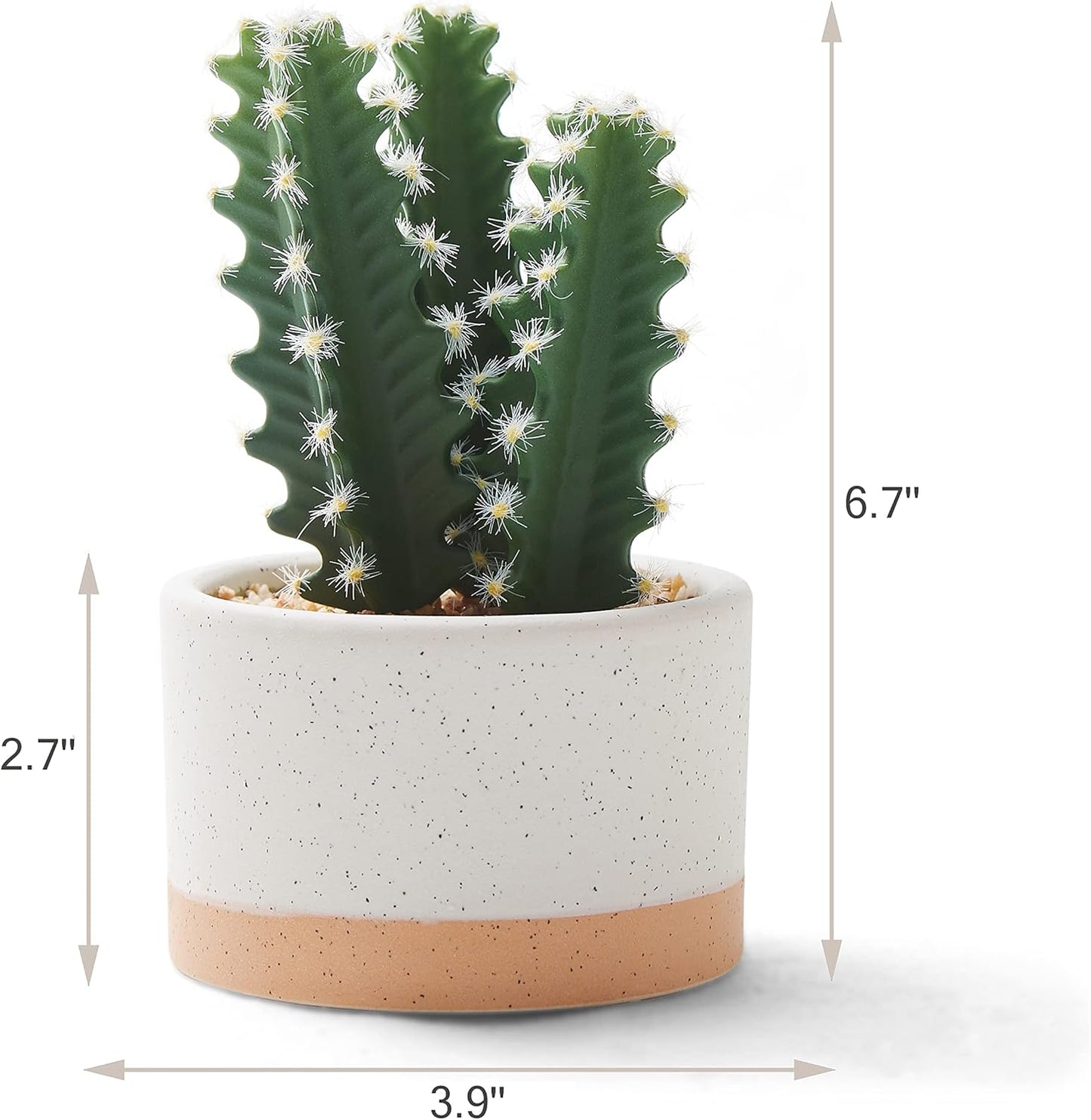 Artificial Succulent Plants in Ceramic Pots / Burlywood