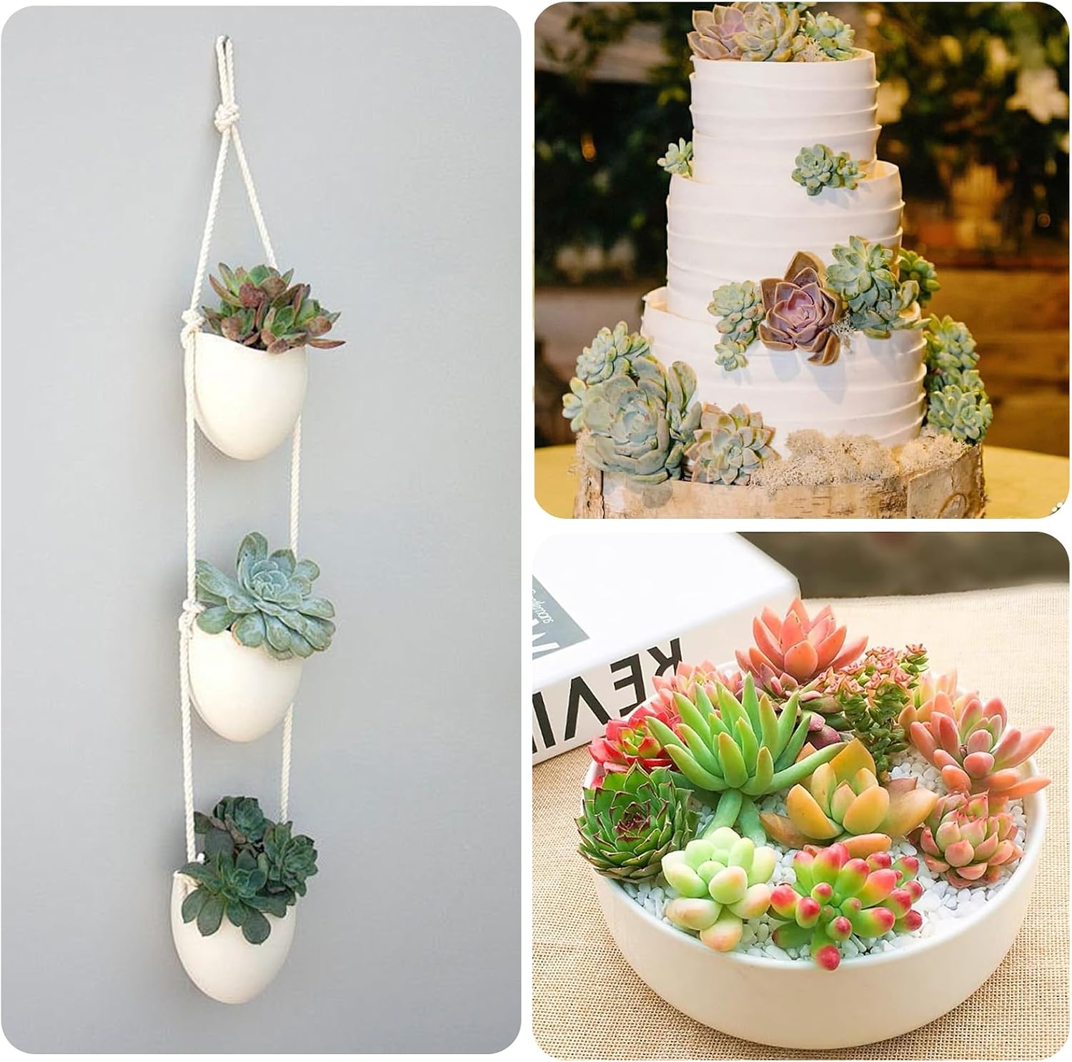 Mini Artificial Succulents Plants Unpotted Faux Succulent / Set of 12