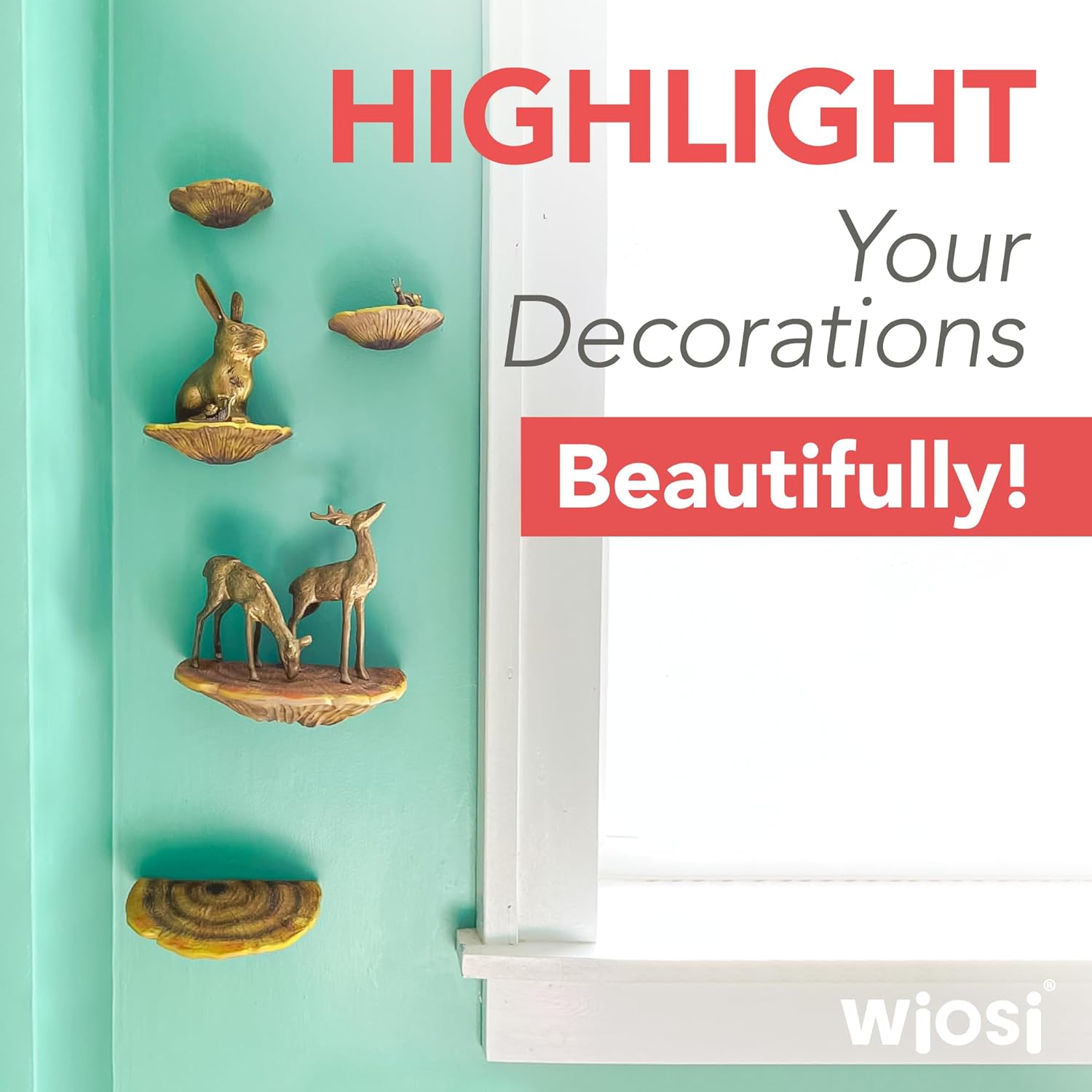5-Piece Turkey Floating Shelves for Decorating Wall / Gill Mushroom