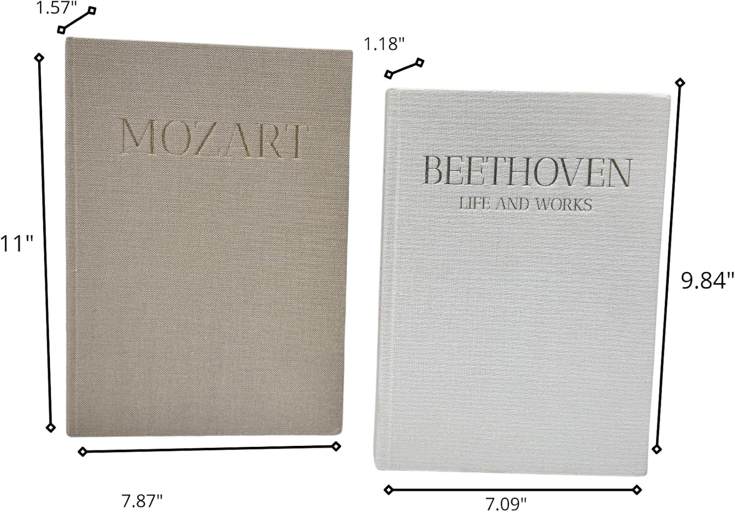 Decorative Books / Beige and White / Set of 2