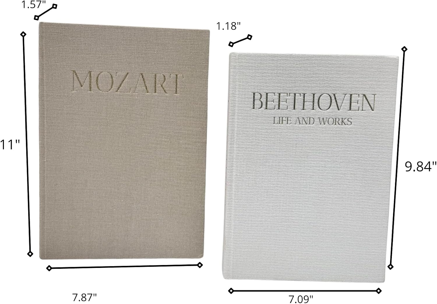 Decorative Books / Beige and White / Set of 2