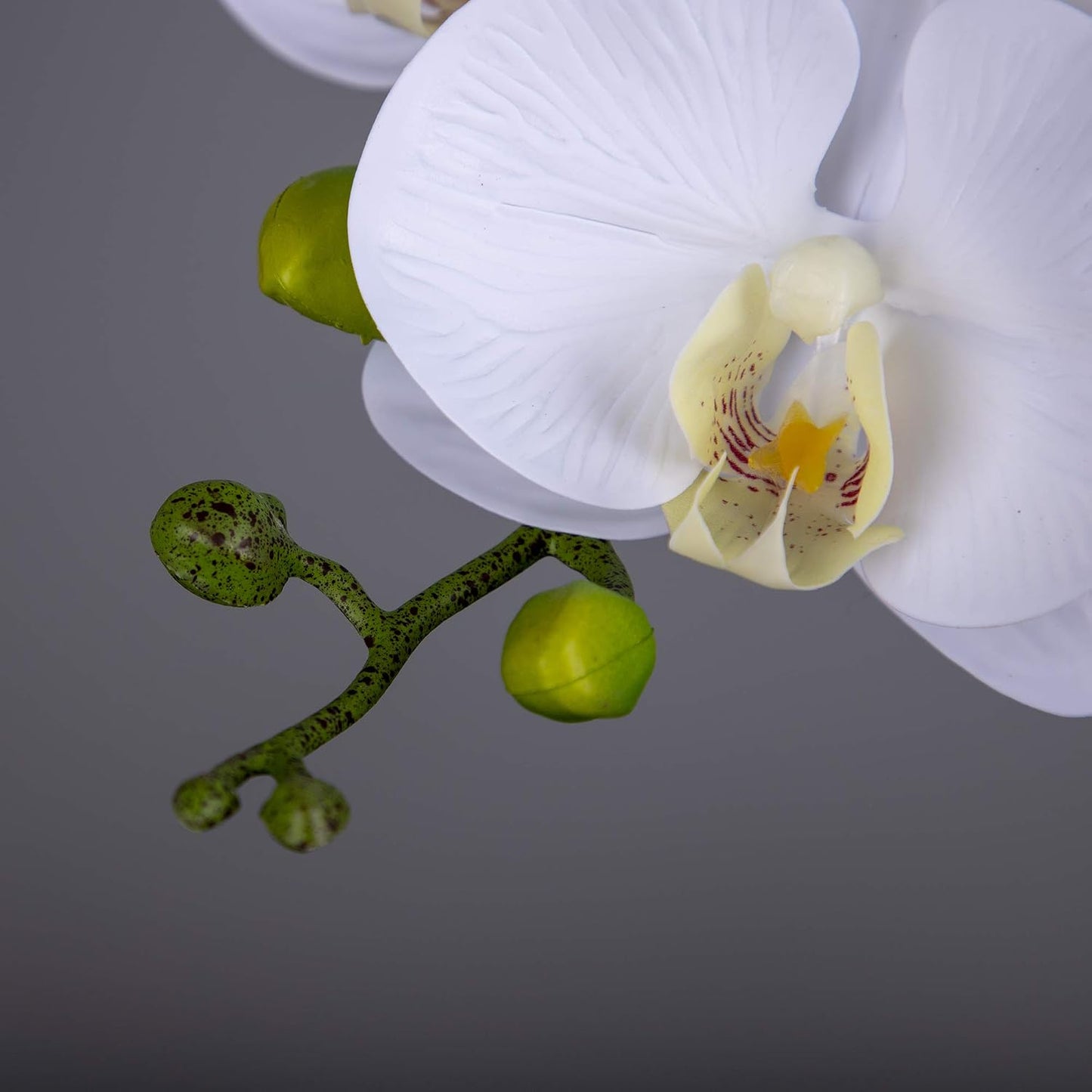 Orchid Stems Artificial Flowers Real Touch Latex Faux Phalaenopsis / White / 38 Inch / Set of 2