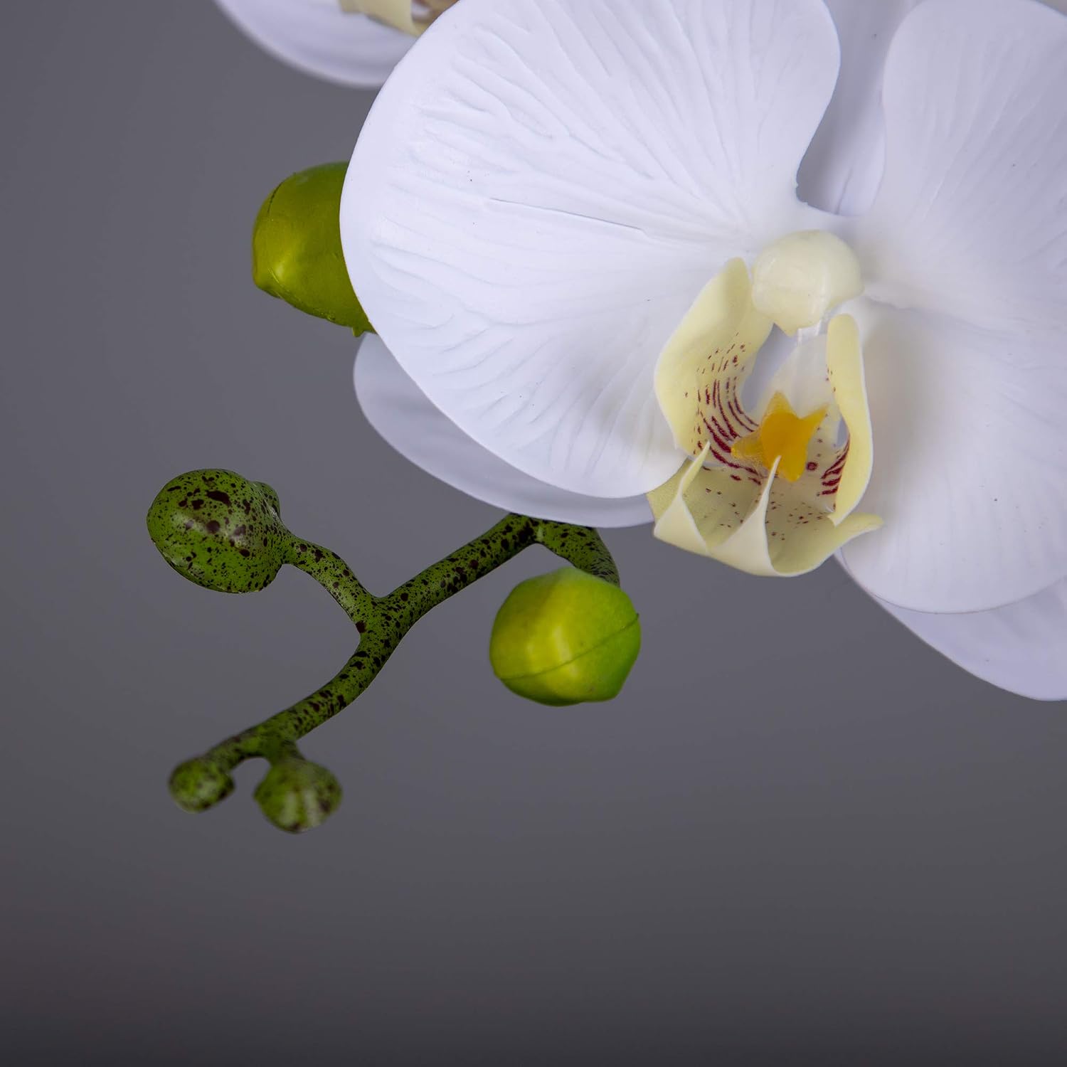 Orchid Stems Artificial Flowers Real Touch Latex Faux Phalaenopsis / White / 38 Inch / Set of 2