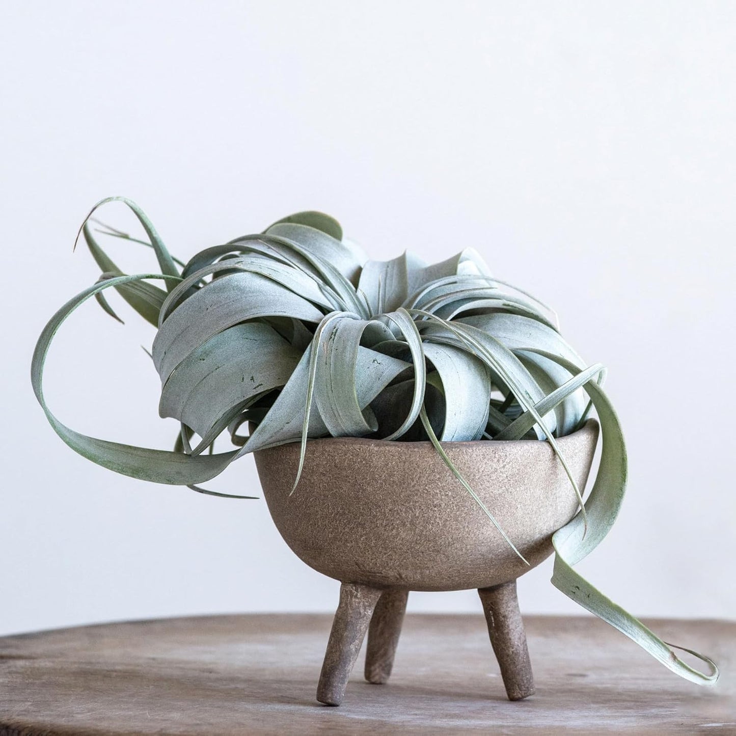 Creative Co-Op Boho Terracotta Footed Planter / Matte Taupe / Set of 4