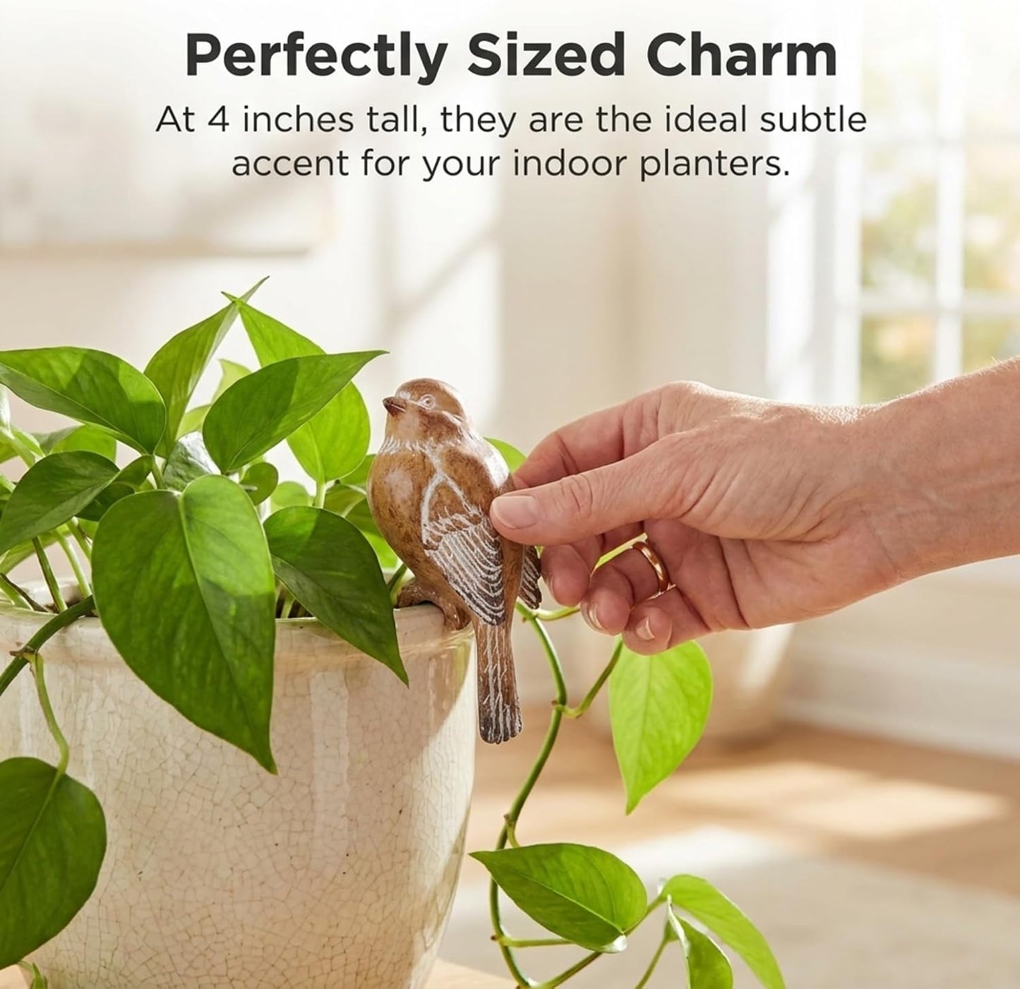Hand-Painted Rustic Sitting Pot Hanger Birds Set