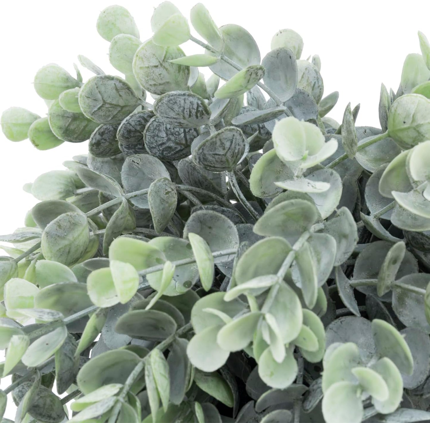 Artificial Eucalyptus Plant in Modern Gray Concrete Pots / Grey