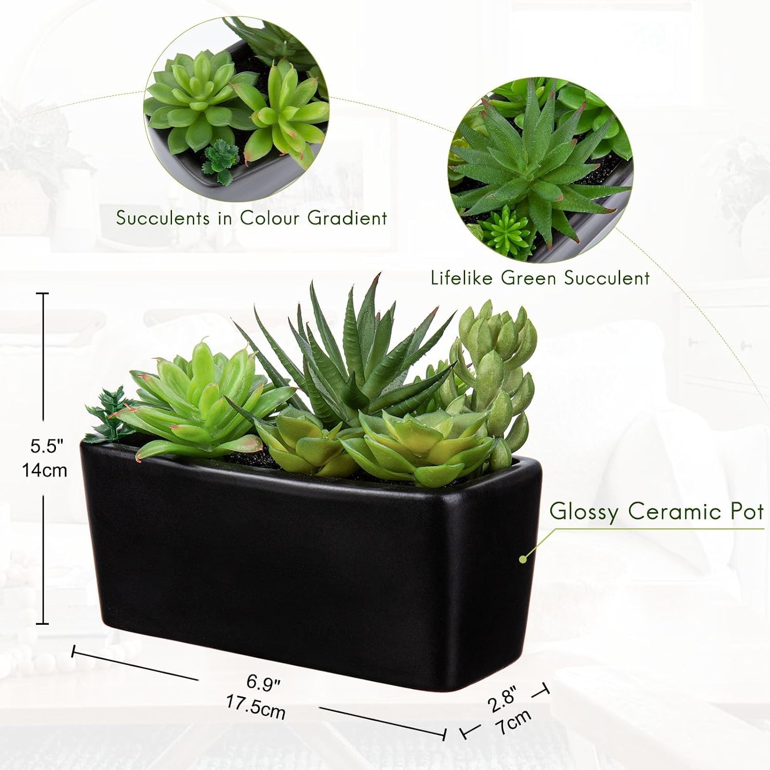 Artificial Succulents Plants in Ceramic Planter Assorted Faux Succulents in Pots / Black