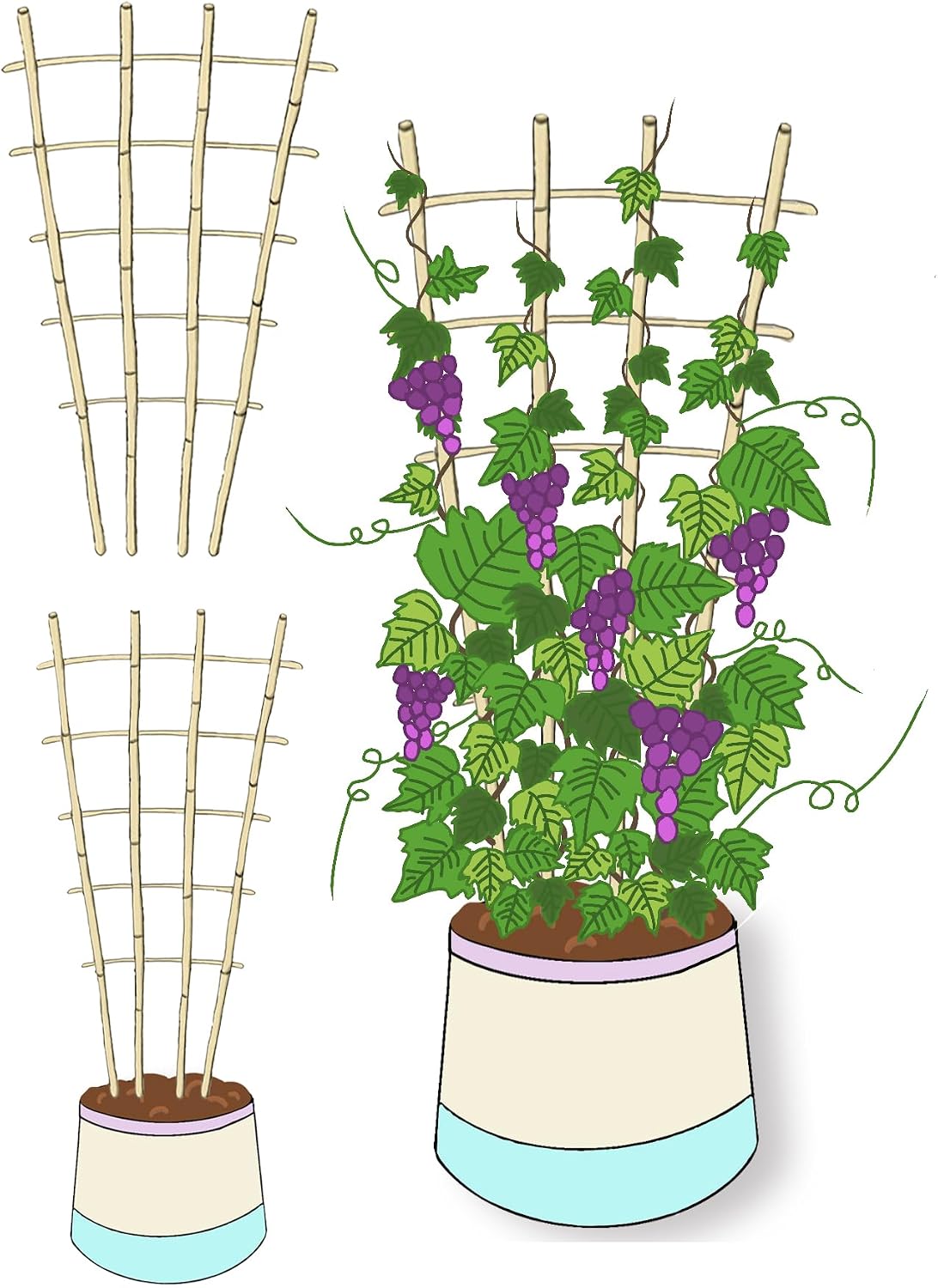 Natural Bamboo Trellis, 4Feet,3Pack,Fan-Shaped Plant Support Trellis for Outdoor and Indoor Potted Climbing