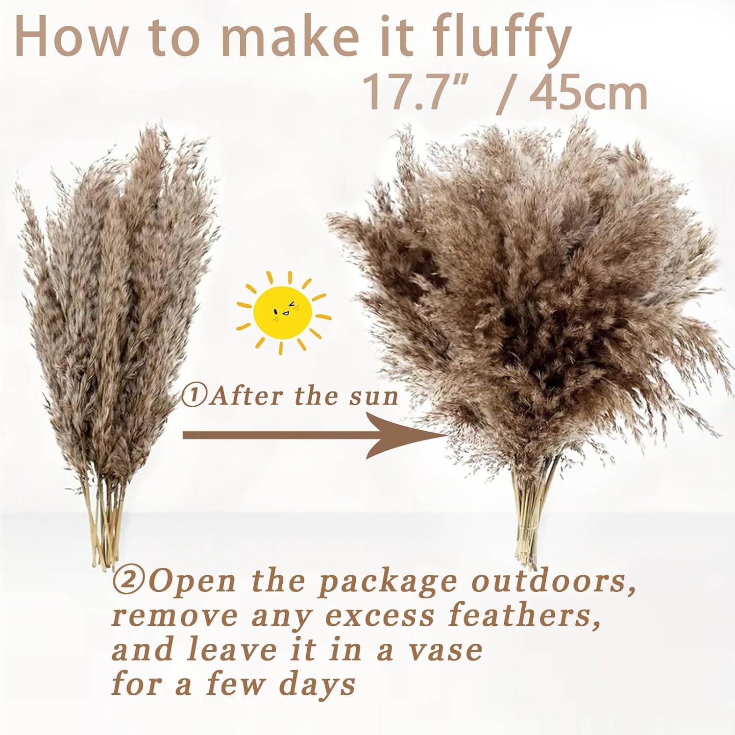 Tall Fluffy Pompas Grass for Floor Vase / 30brown - 17 Inch / Natural / 17 Inch