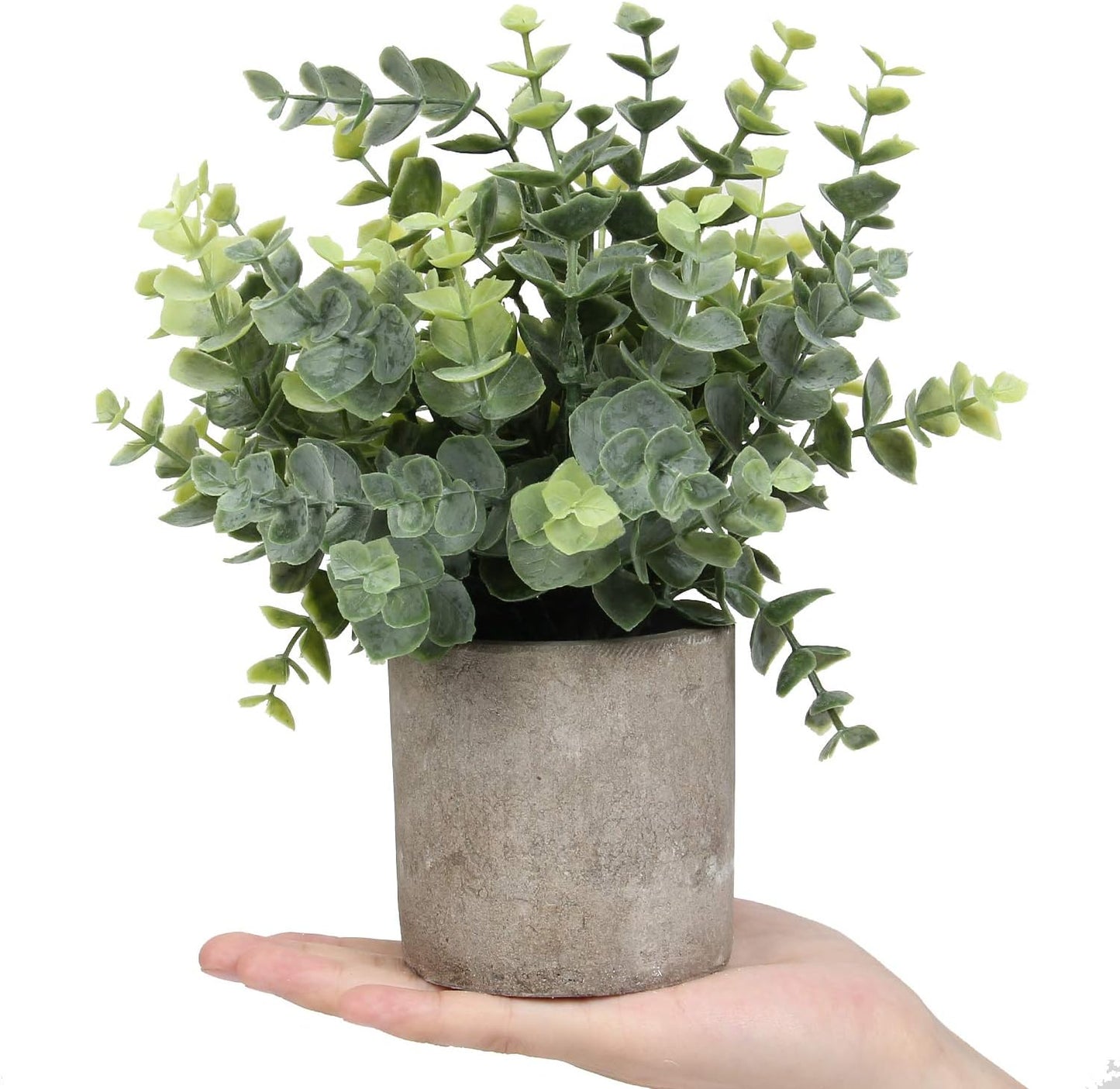 Mini Potted Plants Artificial Eucalyptus Boxwood Rosemary Faux Herbs Small House Plants 8.3"-9" Tall