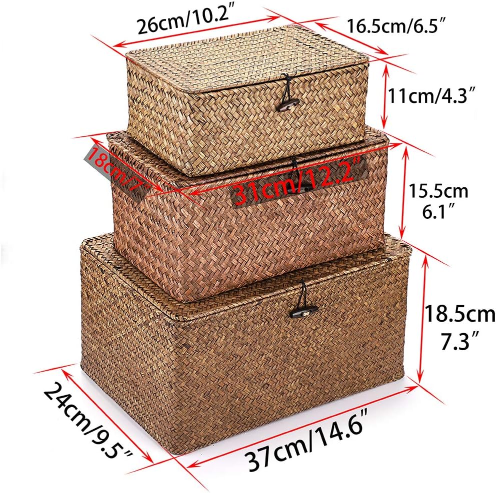 Seagrass Storage Baskets / 14.6 x 9.5 x 7.3 / Large / Coffee / Natural