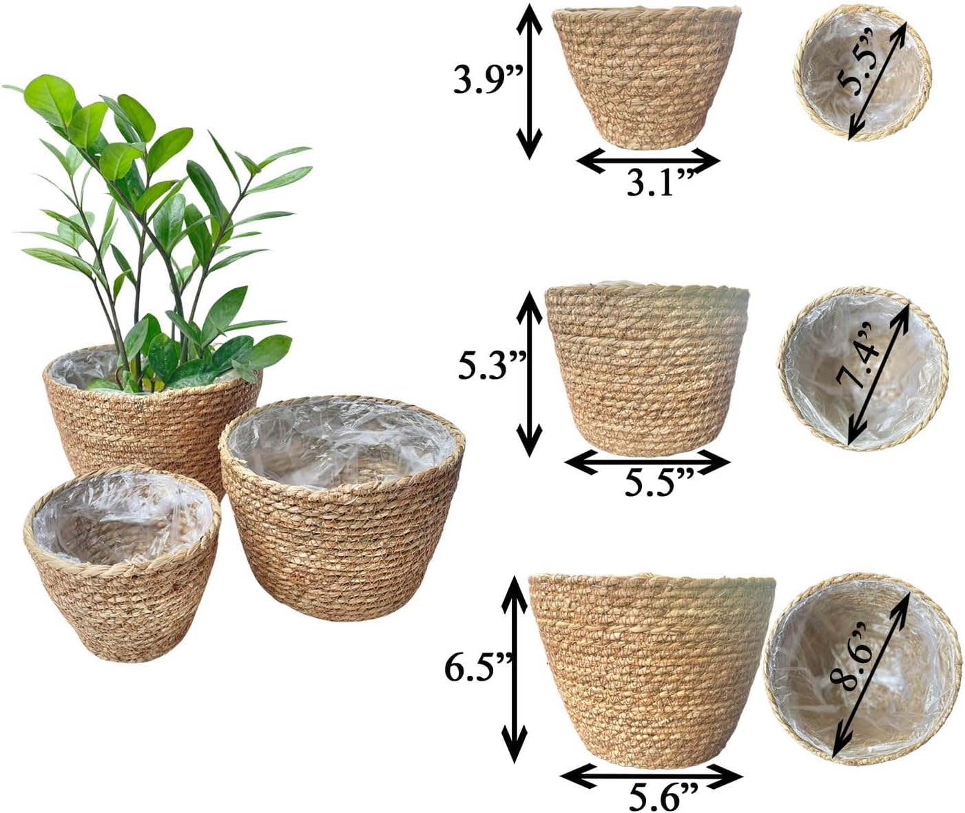 Woven Seagrass Plant Basket Without Handles / Without Handers / Natural / Set of 3