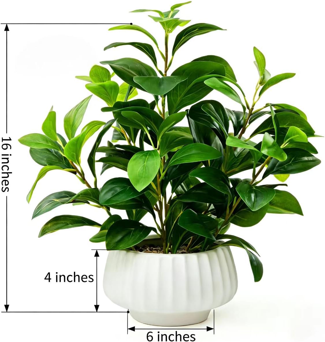 Artificial Peperomia Plants 16.5" Tall Lifelike Faux Greenery in 6" Ribbed Ceramic / Plant-b / White
