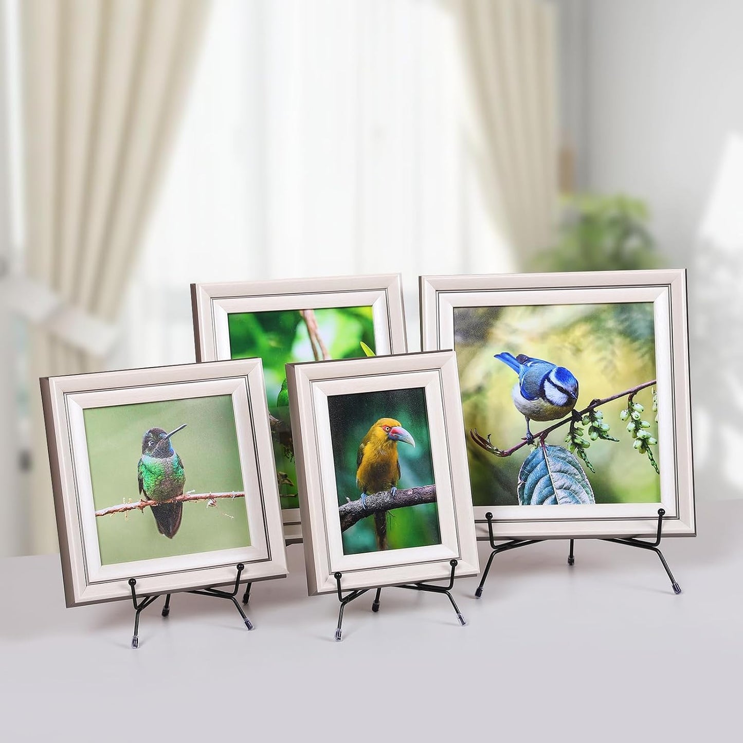 Book / Frame / 4/6/8 Inch / 8 Inch / Set of 6
